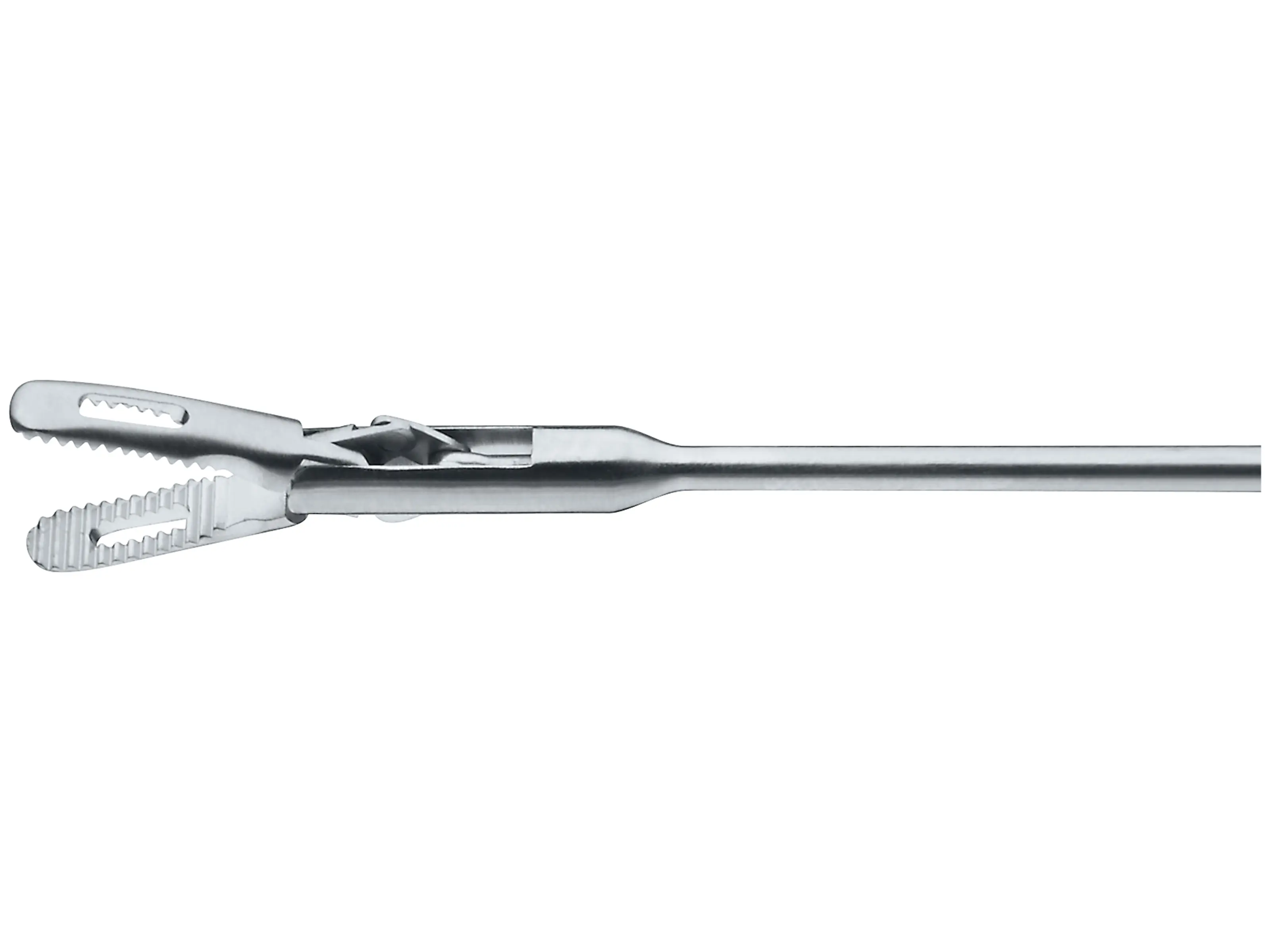 Forceps, for peanuts, 1.5 mm, 35 cm | KARL STORZ Endoskope | Austria