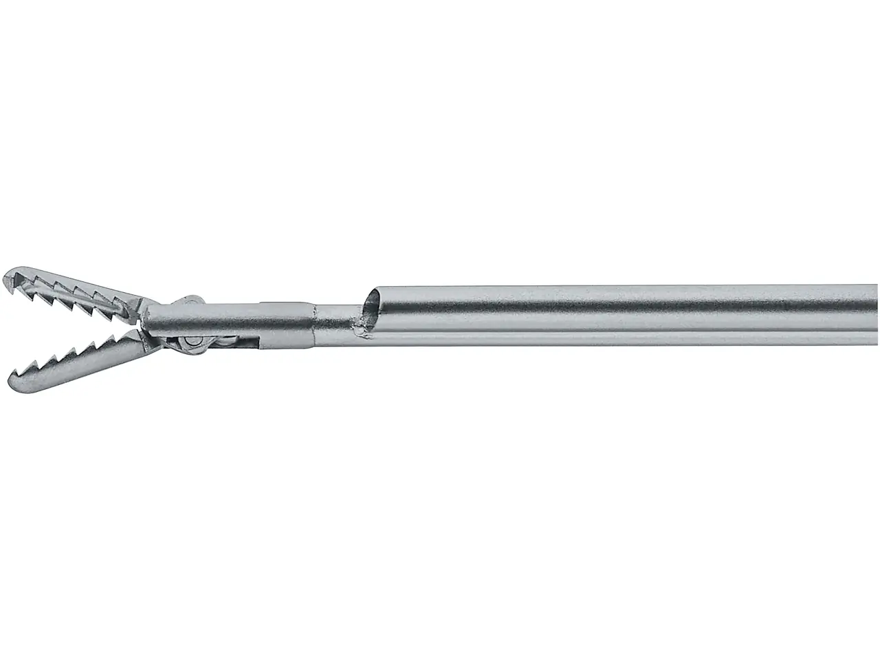 Optical Forceps, with alligator jaws | KARL STORZ Endoskope | Brasil