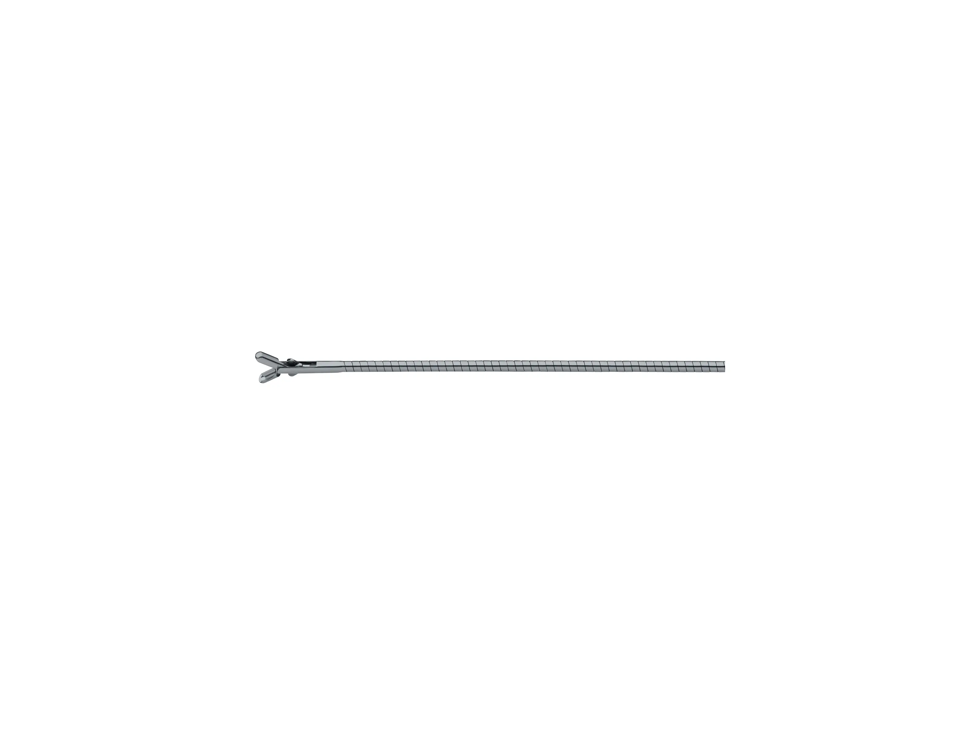 Biopsy Forceps, 3 Fr. | KARL STORZ Endoskope | Brasil