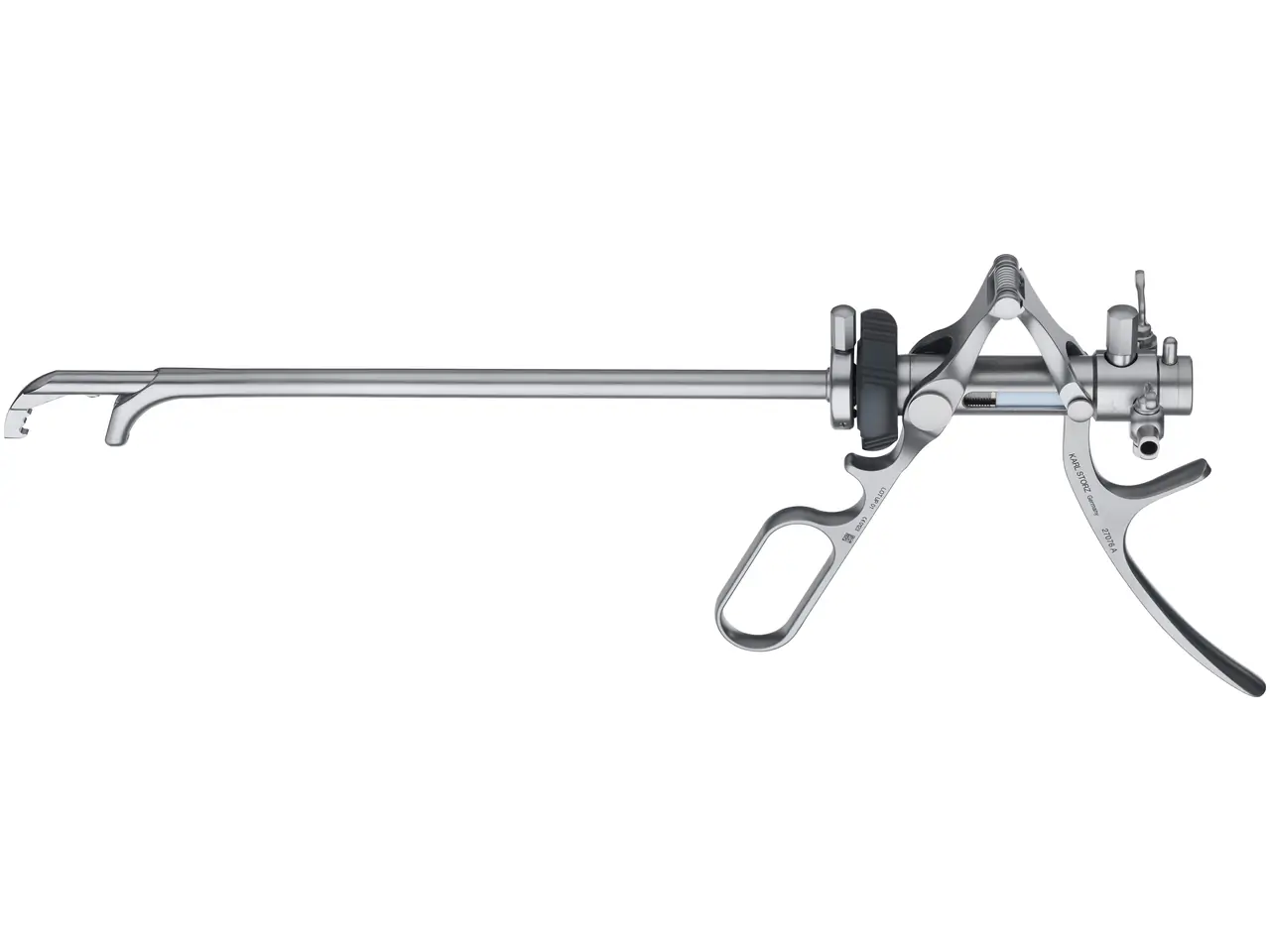 標本 RDC Mesotopus karlwernei 81mm RDC Mesotopus karlwernei 81mm Mesotopus tarandus - BioQuipBugs