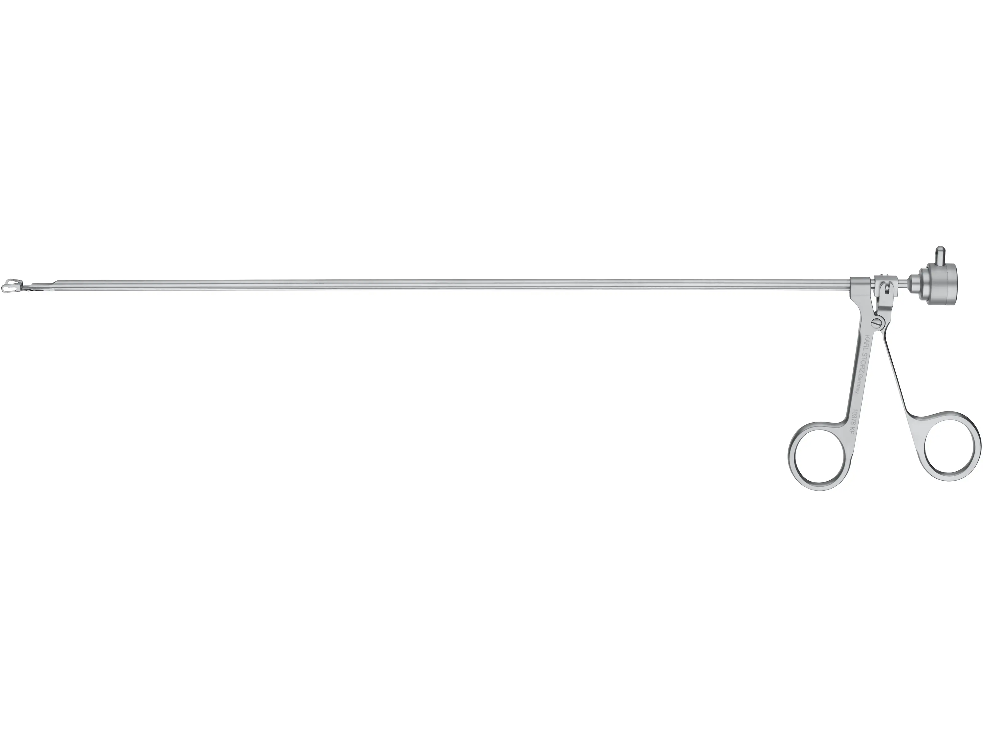 標本 Venezuela Agacephala bicuspis 32mm Optical Forceps, for peanuts | KARL STORZ Endoskope | Canada