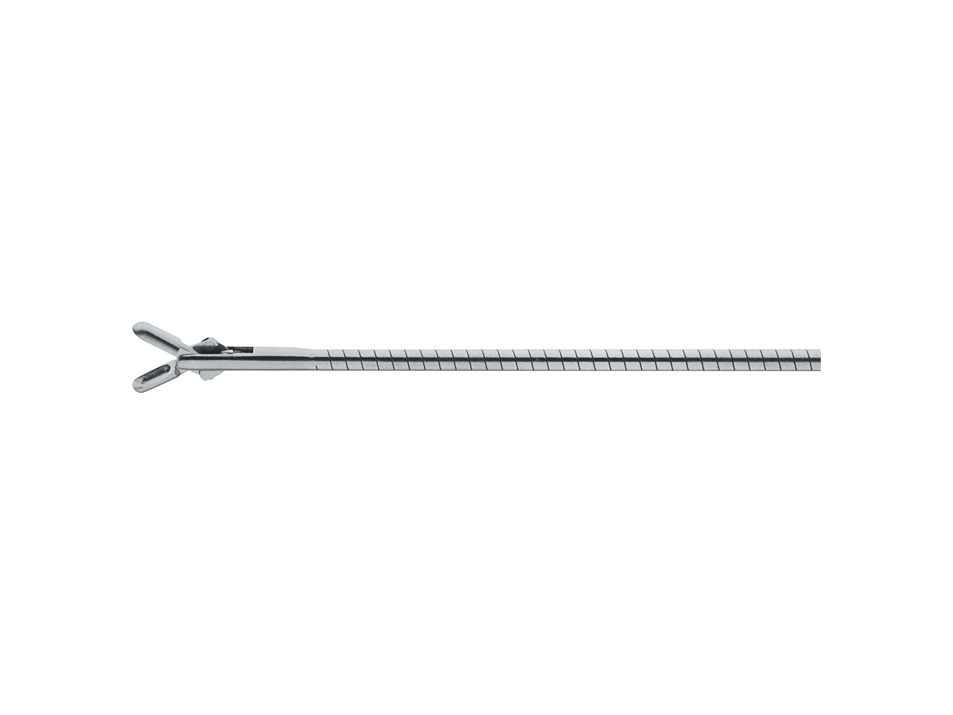 Biopsy Forceps, 28 cm | KARL STORZ Endoskope | Chile