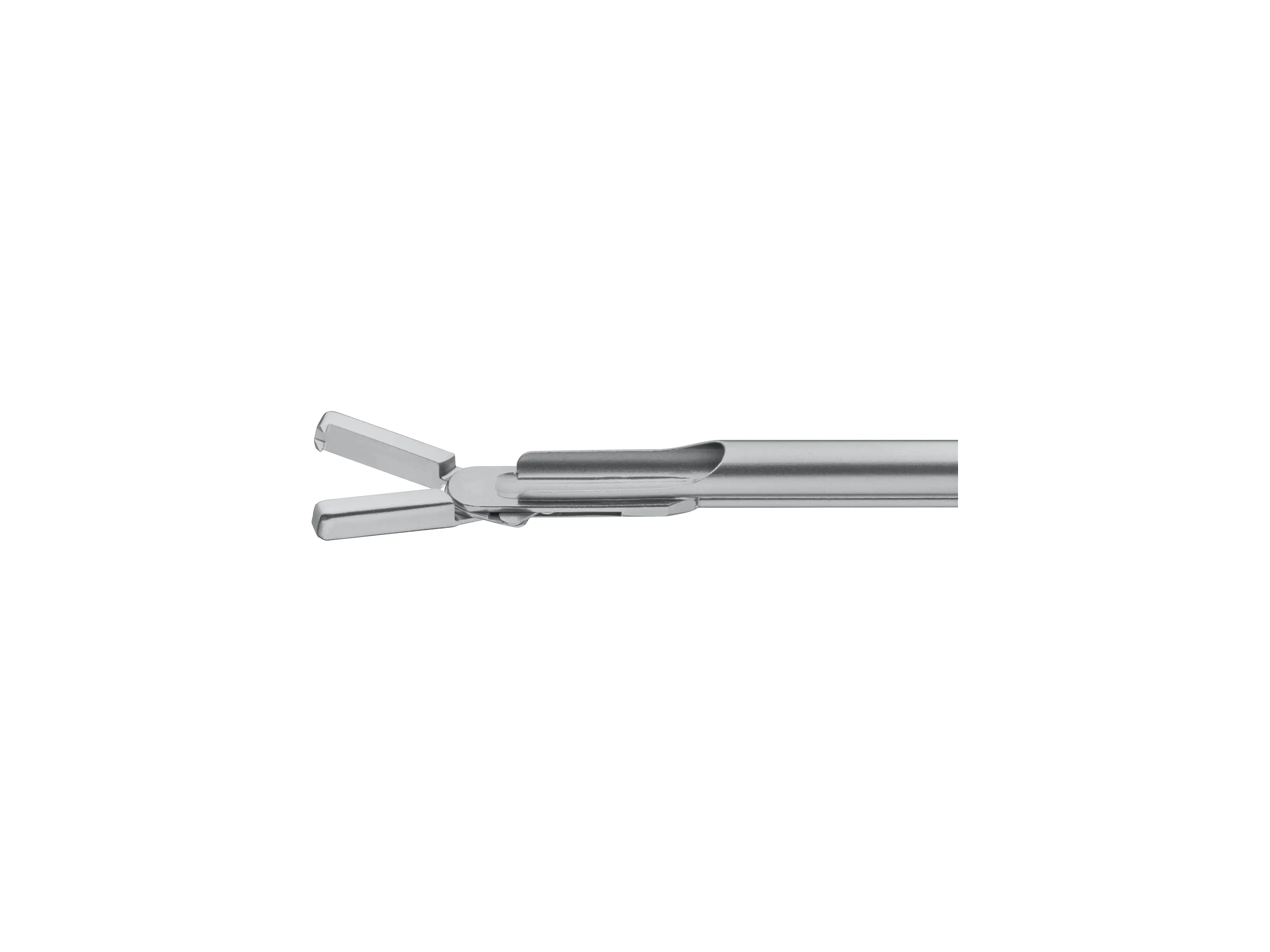 Optical Forceps, 2 x 2 teeth | KARL STORZ Endoskope