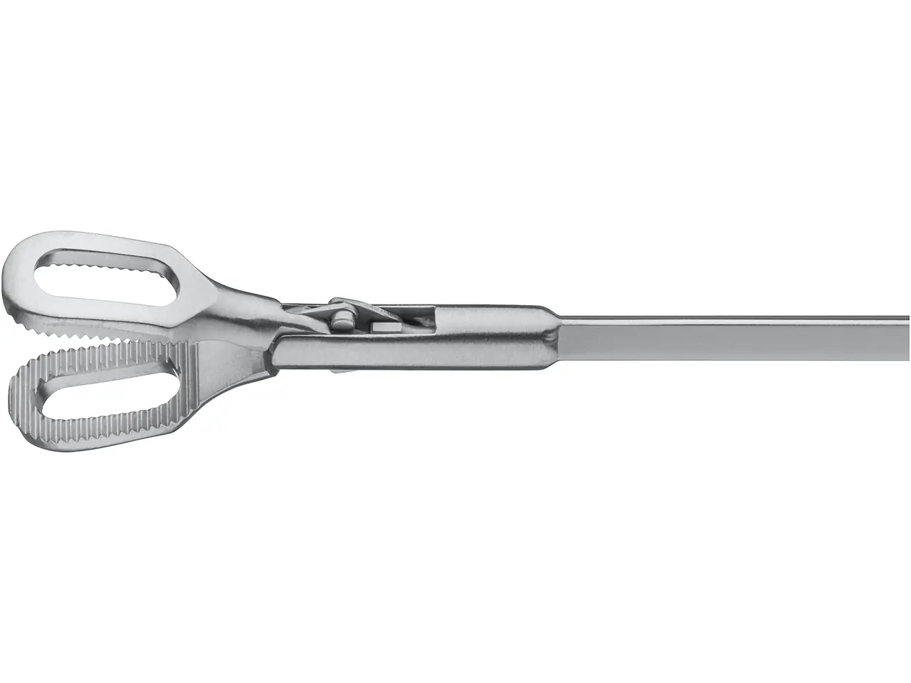 GASPO COP CLOU 70cm ファンスキー スキーボード オーストリア Forceps, for peanuts, 2.5 mm, 50 cm | KARL STORZ Endoskope