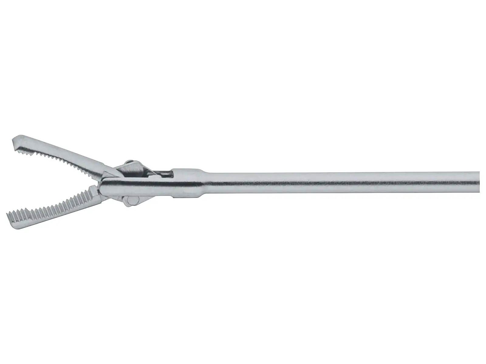 DI SPIEZIO SARDO Grasping Forceps | KARL STORZ Endoskope