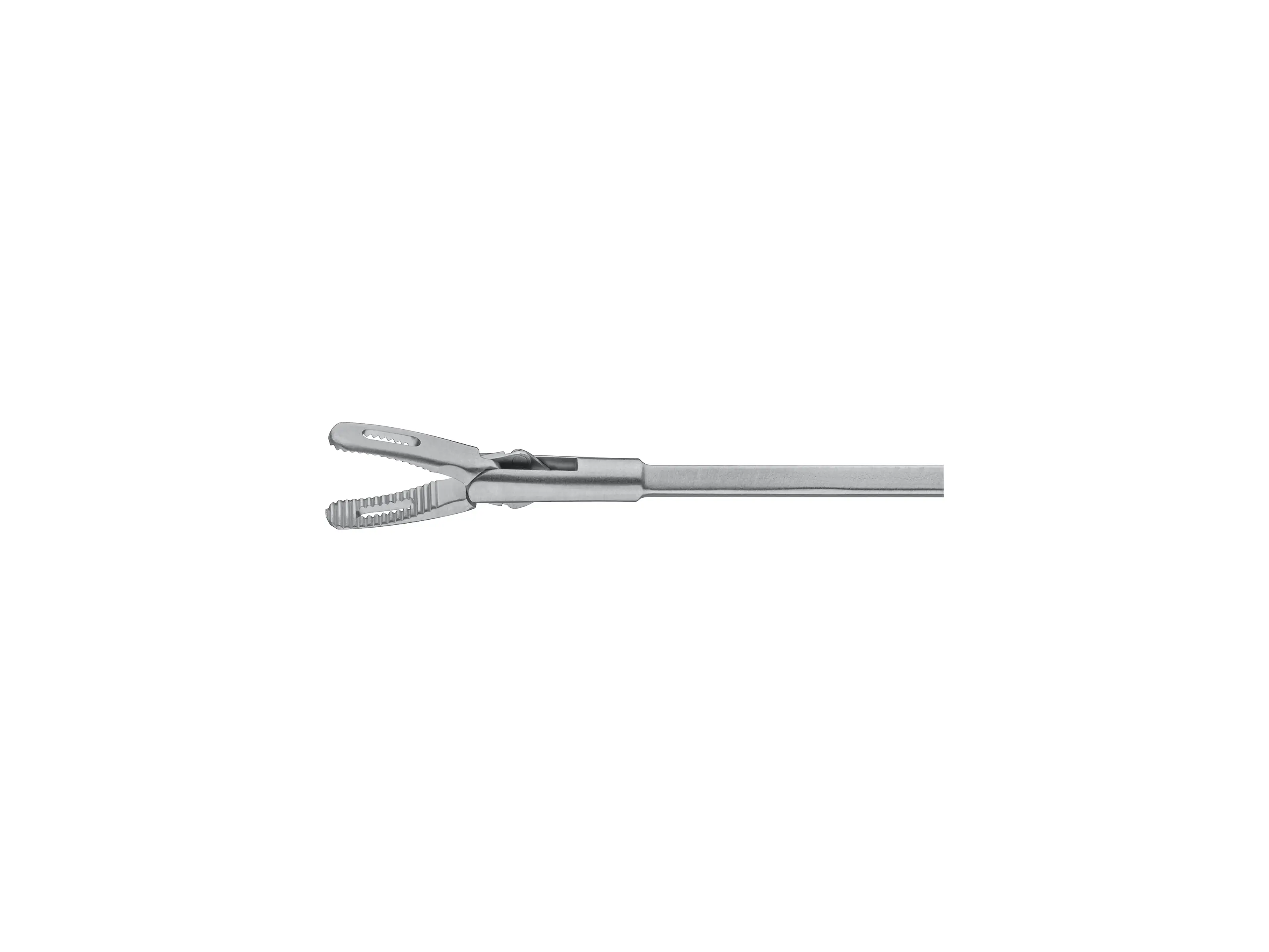Forceps, for peanuts, 2 mm, 35 cm | KARL STORZ Endoskope