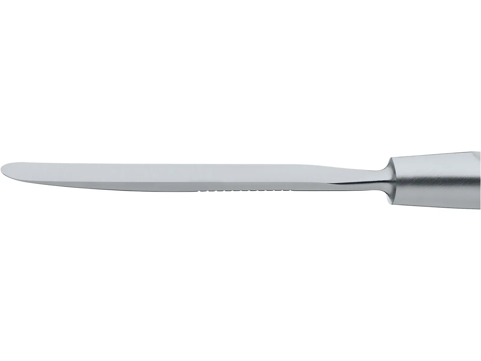 カッター PLESTER Raspatory, 8 mm, 18 cm | KARL STORZ Endoskope