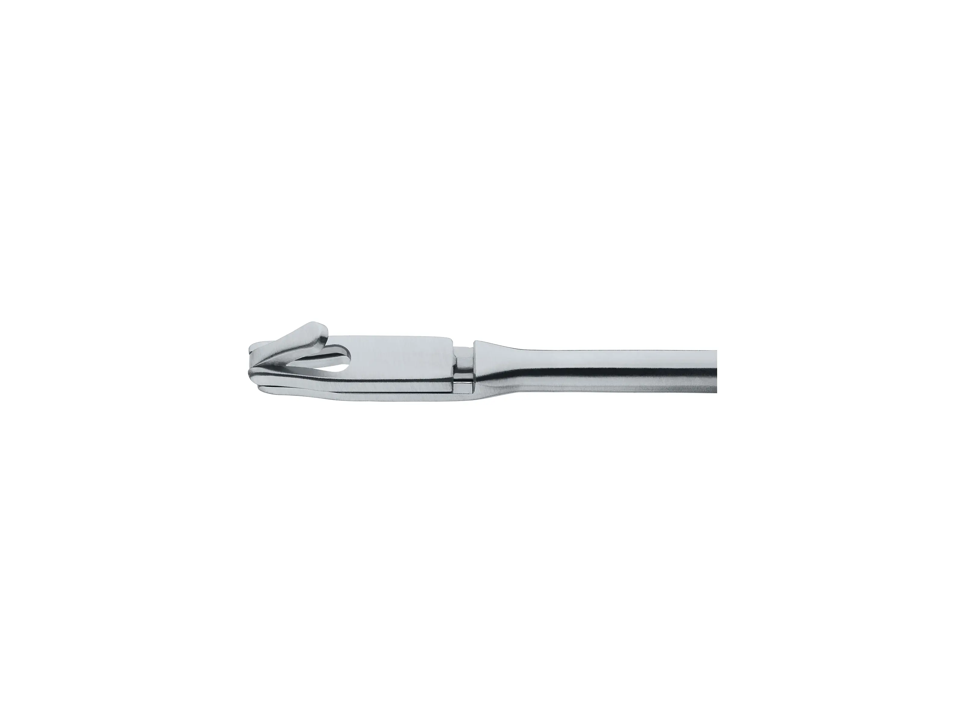 PARSONS Punch, diameter 2.5 mm | KARL STORZ Endoskope