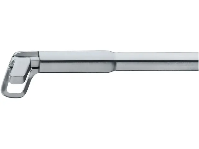Antrum Punch, left down | KARL STORZ Endoskope