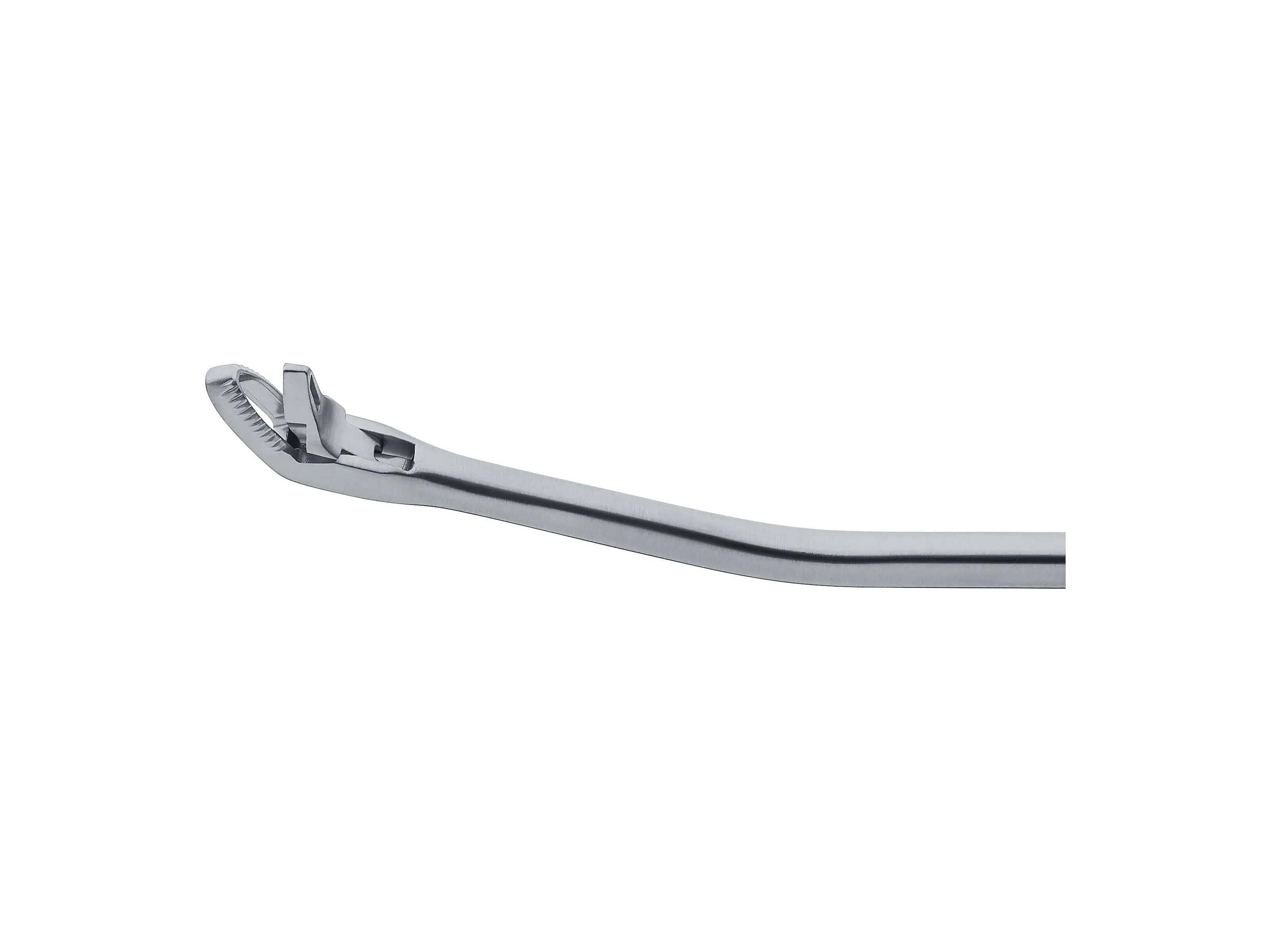Forceps, through-cut, 25°/45°,3mm | KARL STORZ Endoskope