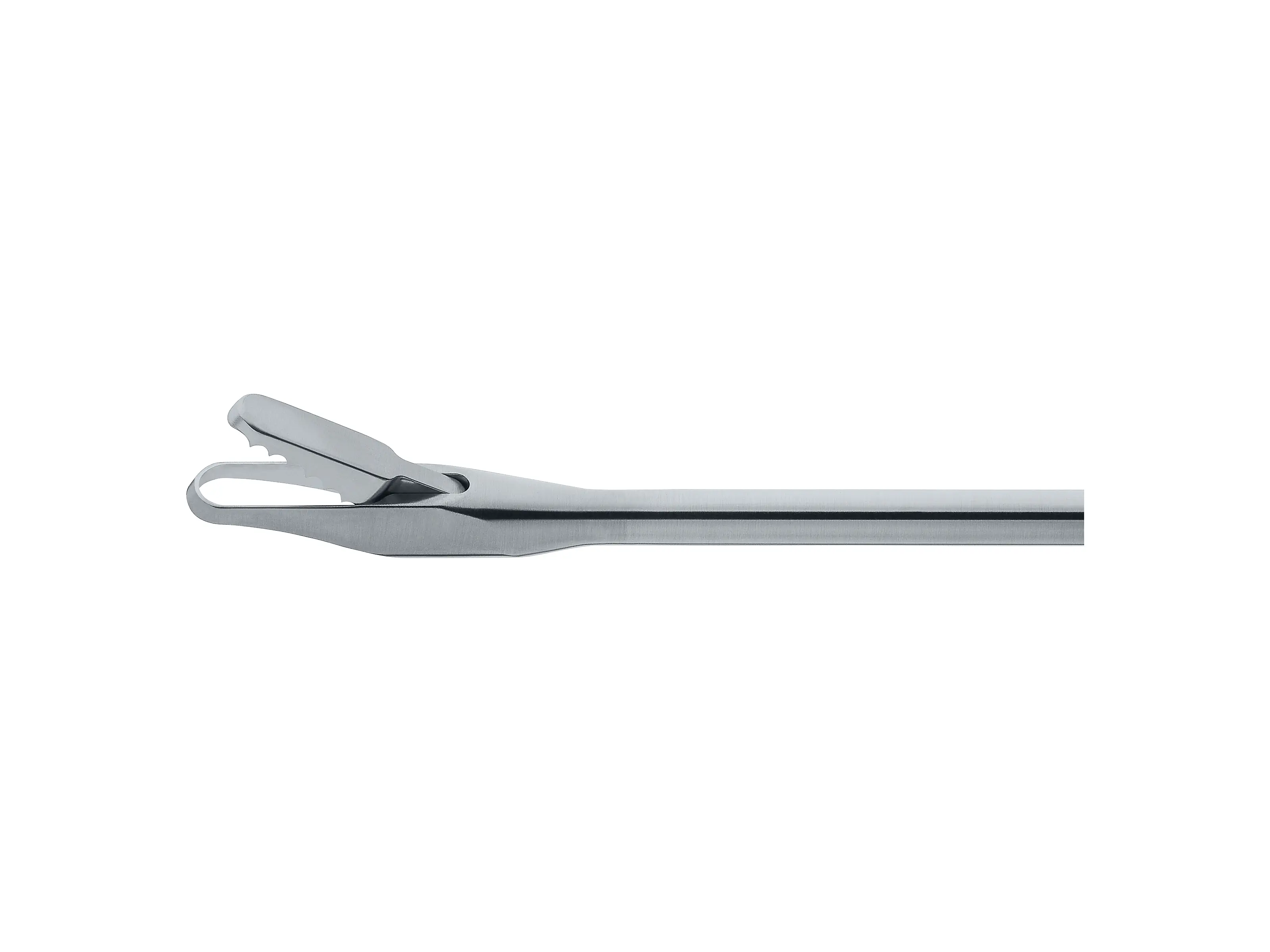 RHINOFORCE II Nasal Cut. Forceps, size 2 | KARL STORZ Endoskope