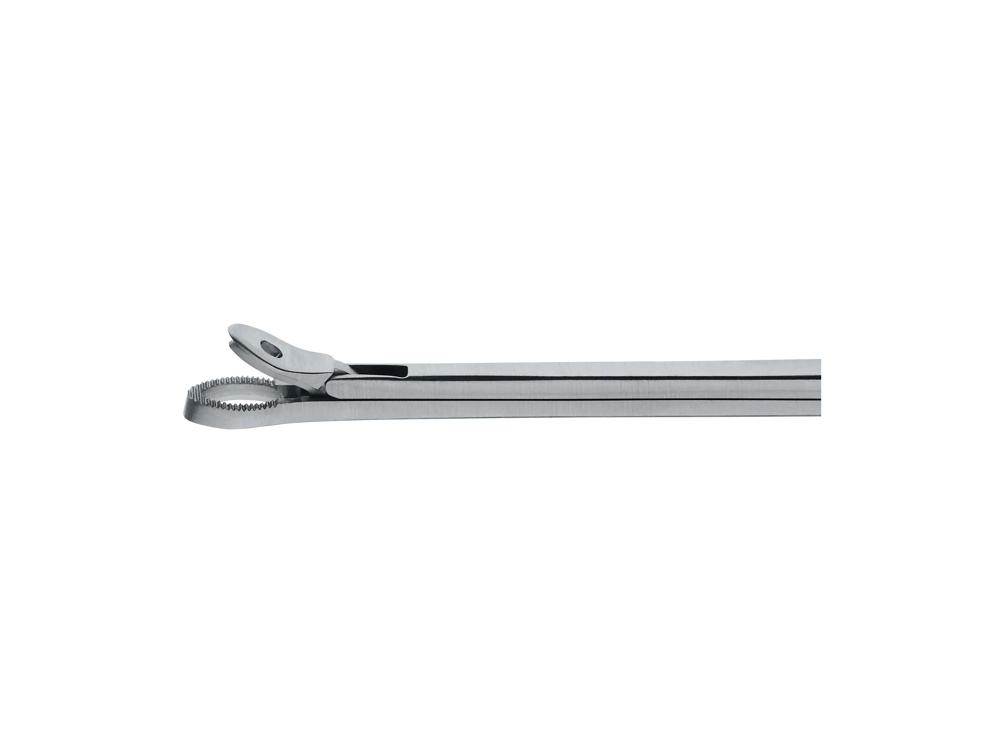 Nasal Forceps, straight, 2.5 mm, 11 cm | KARL STORZ Endoskope