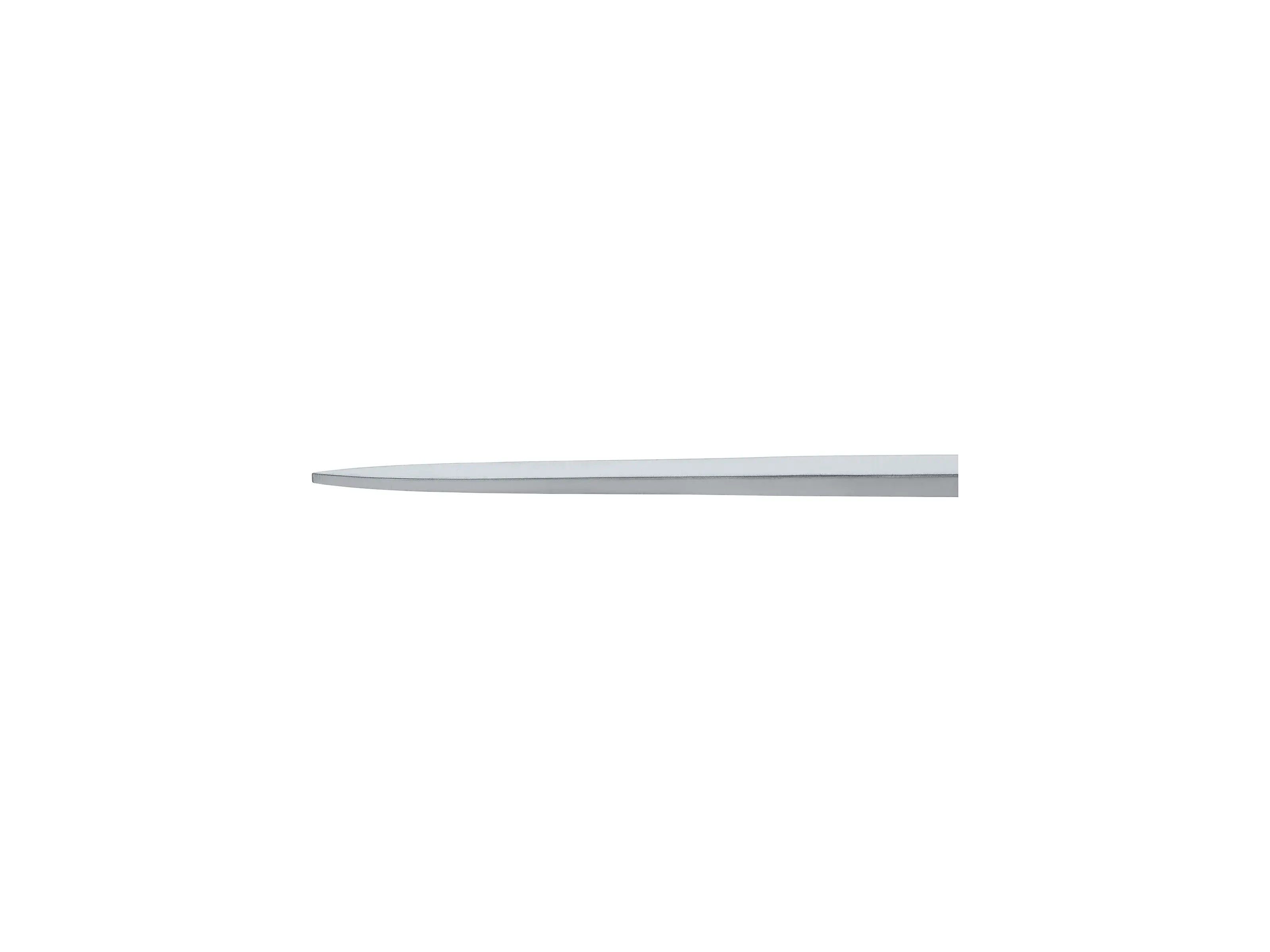 Osteotome, 2 mm, 19 cm | KARL STORZ Endoskope