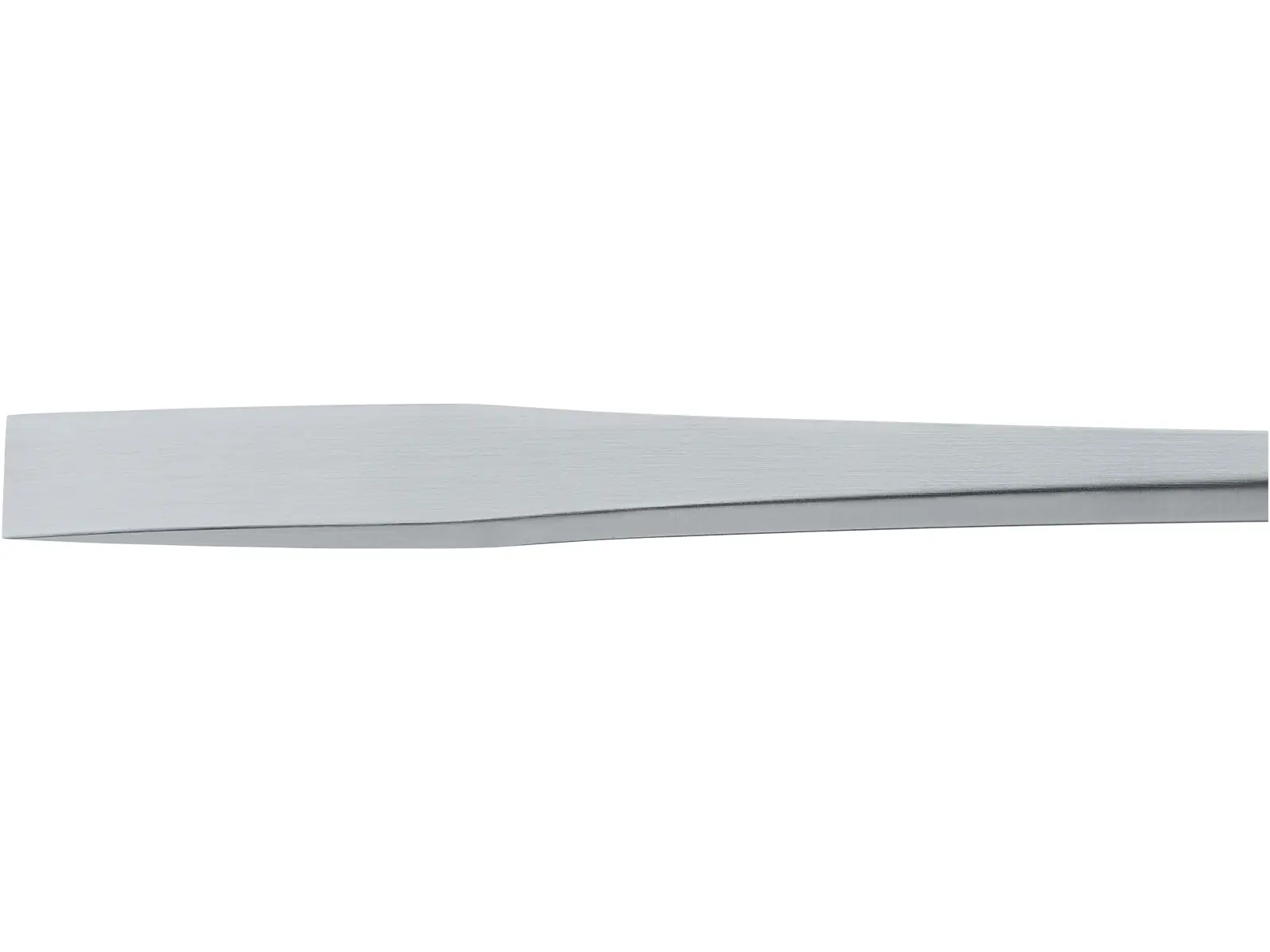 Chisel, 19 mm, 9 cm | KARL STORZ Endoskope
