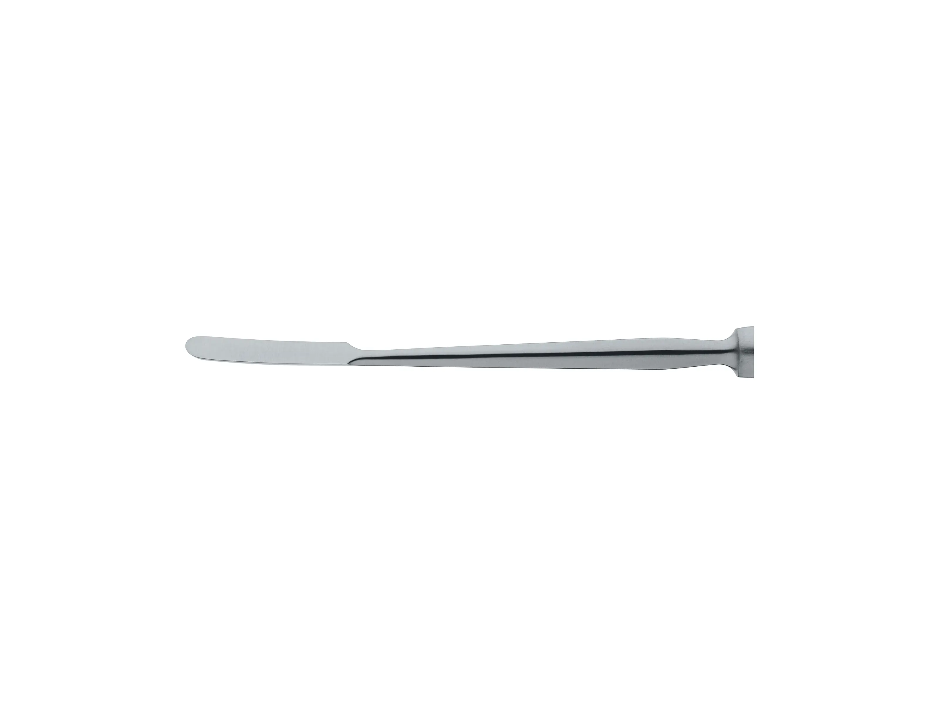 Raspatory, 17.5 cm | KARL STORZ Endoskope