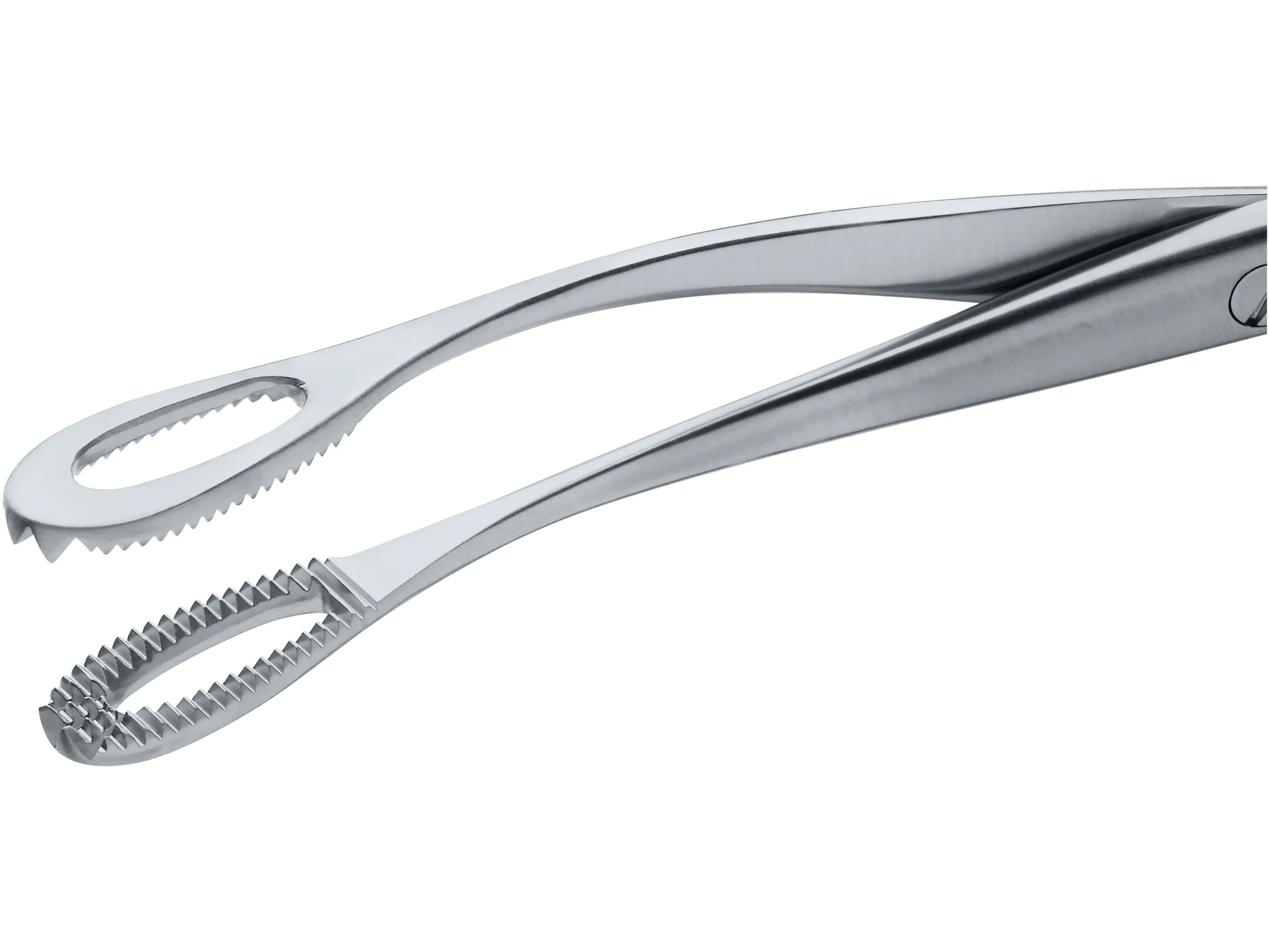 Forceps, 20 cm | KARL STORZ Endoskope