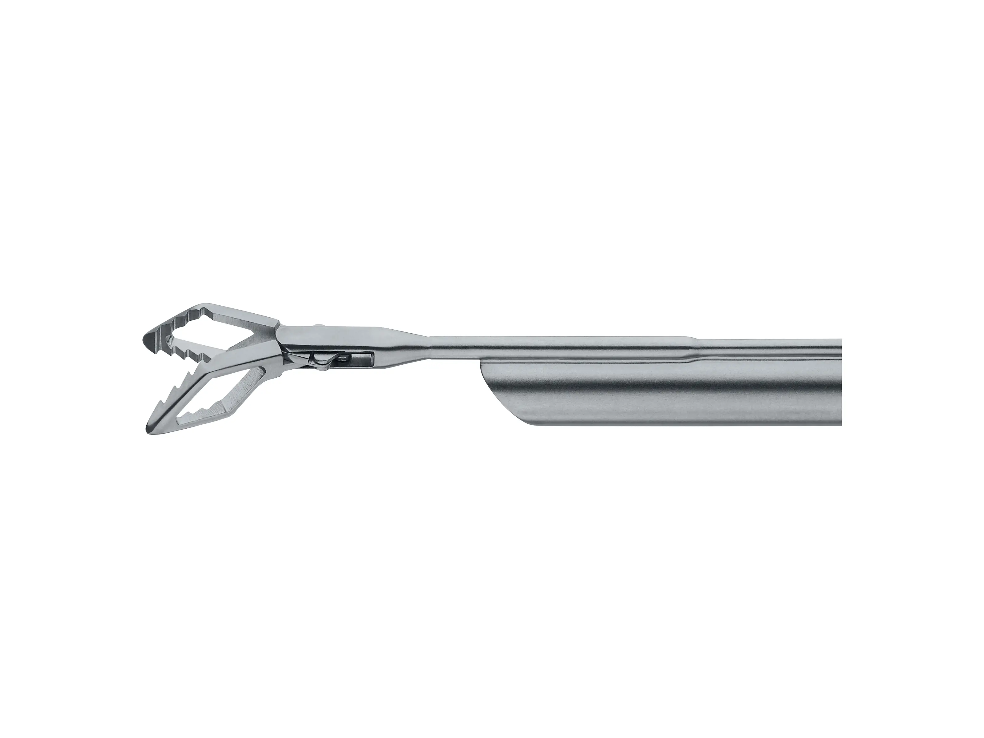 Optical Forceps, for peanuts | KARL STORZ Endoskope