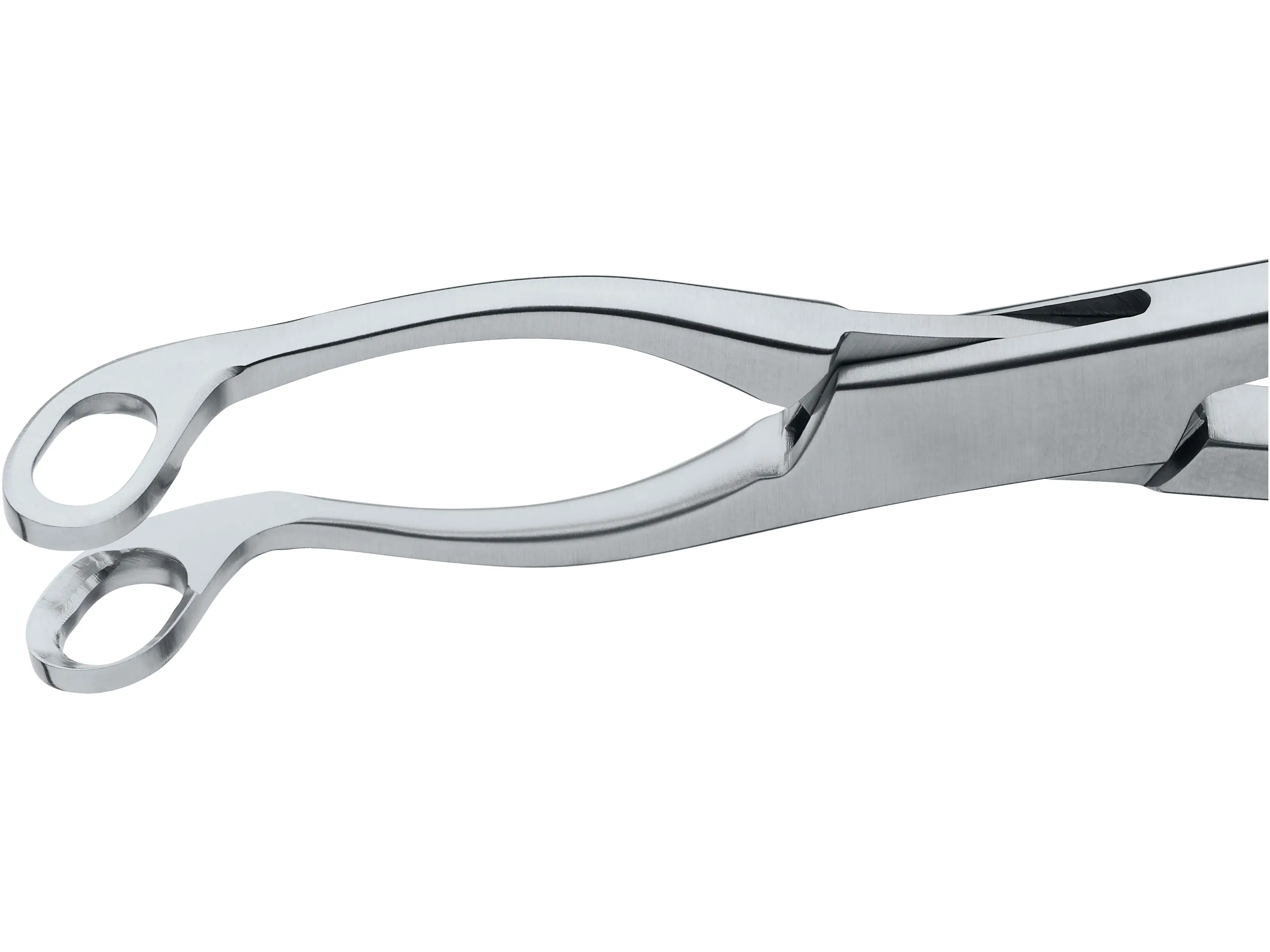Adenoid Forceps, 19 cm | KARL STORZ Endoskope