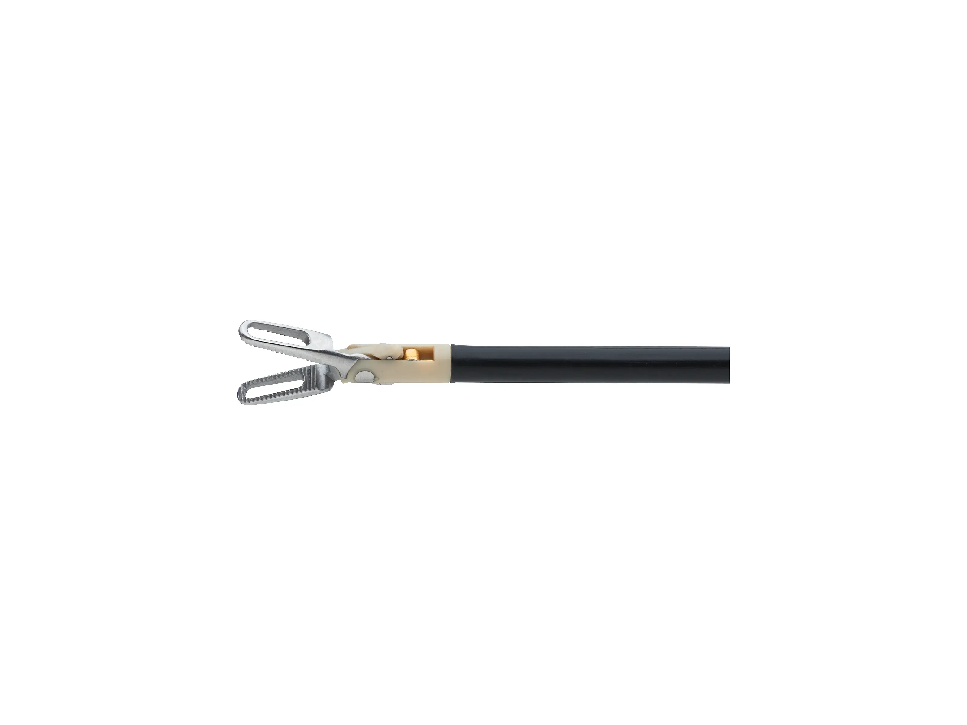 RoBi Forceps Insert with Outer Sheath | KARL STORZ Endoskope