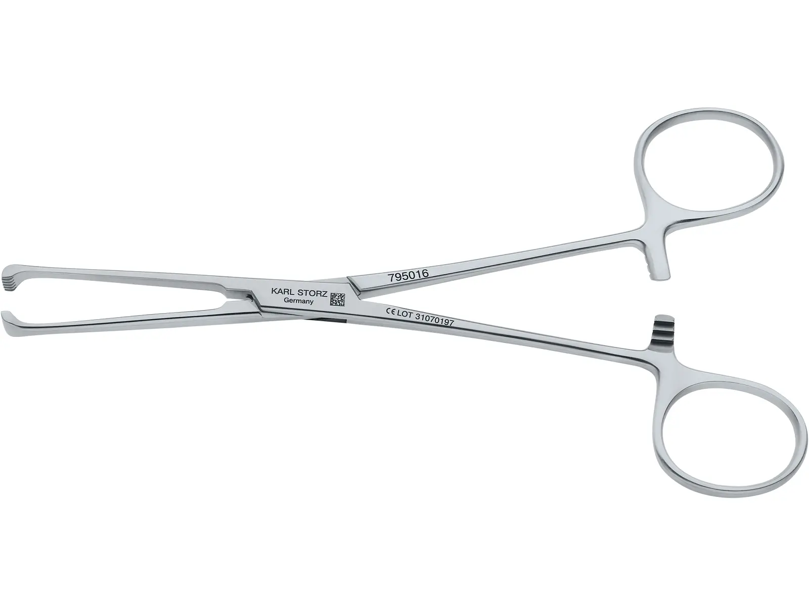 ALLIS Forceps, 5 x 6 teeth, 16 cm | KARL STORZ Endoskope