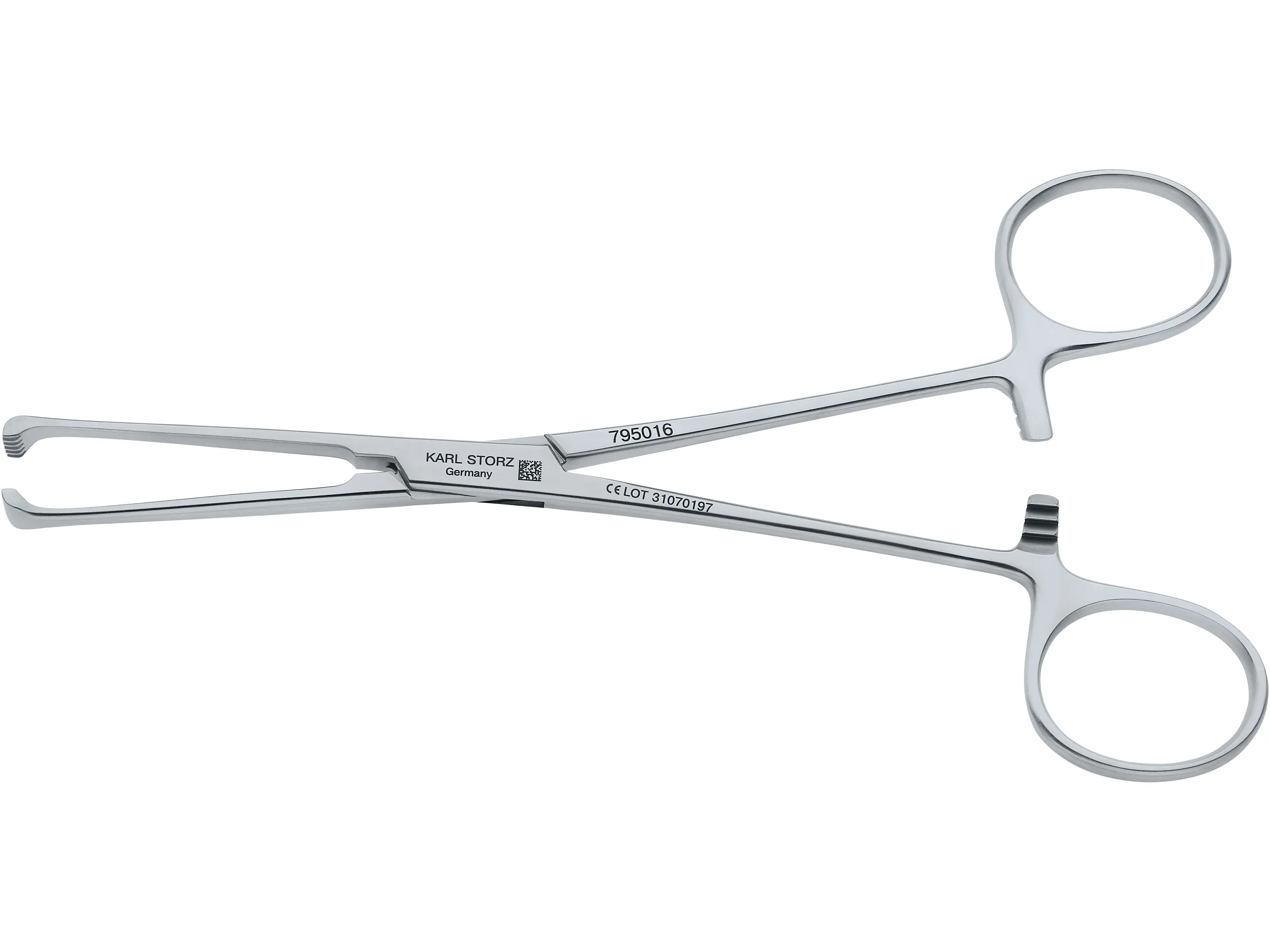 ALLIS Forceps, 5 x 6 teeth, 16 cm | KARL STORZ Endoskope