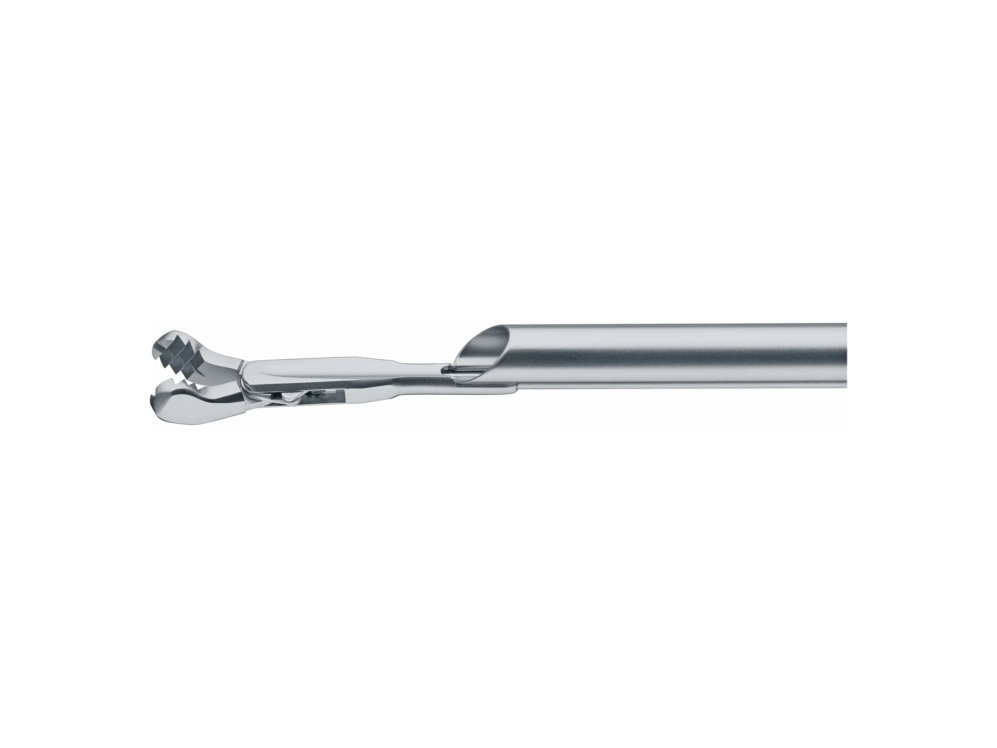 Opt. Grasping Forceps,double action jaws | KARL STORZ Endoskope