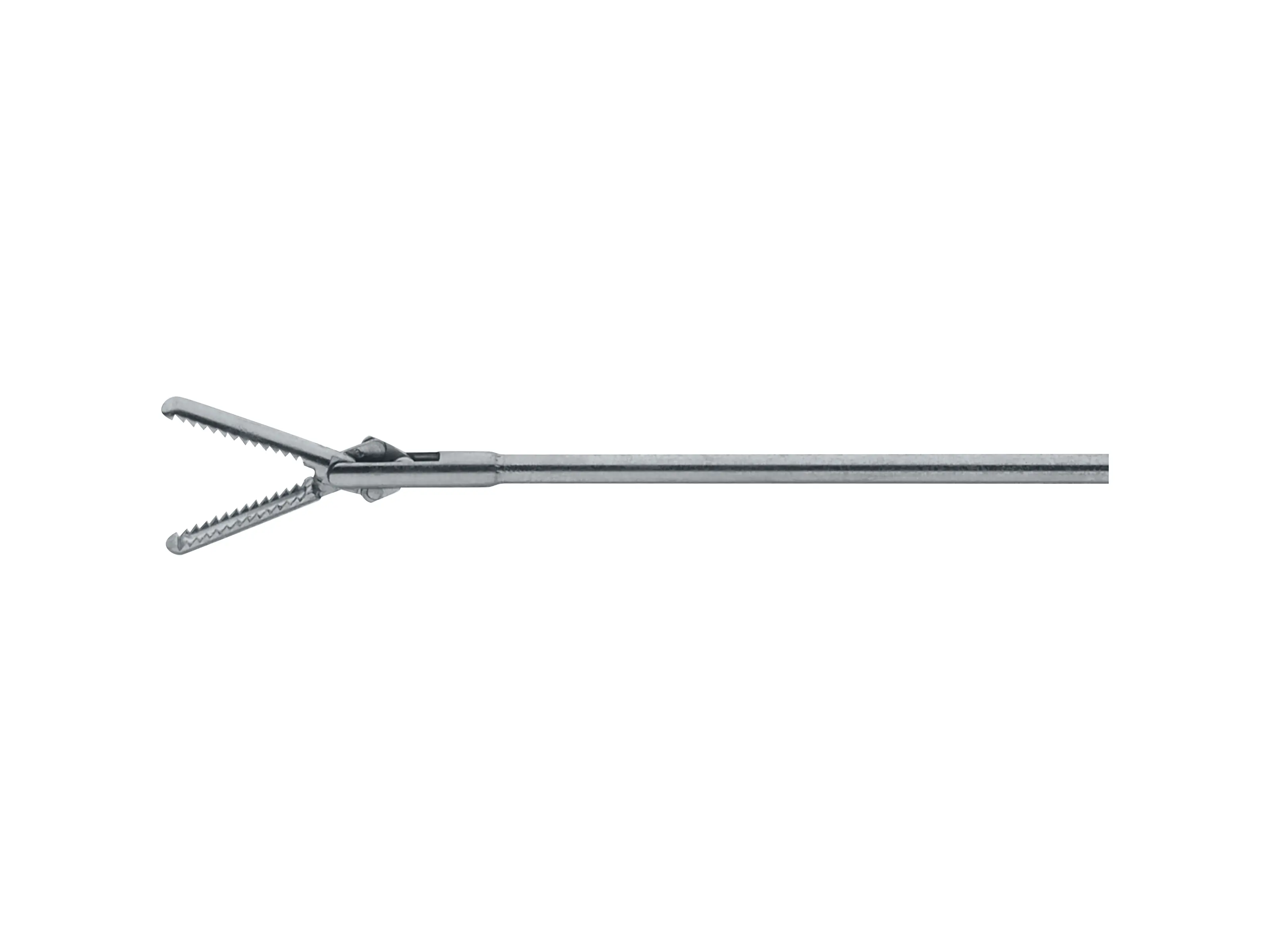 Forceps, 4 Fr., 60 cm | KARL STORZ Endoskope