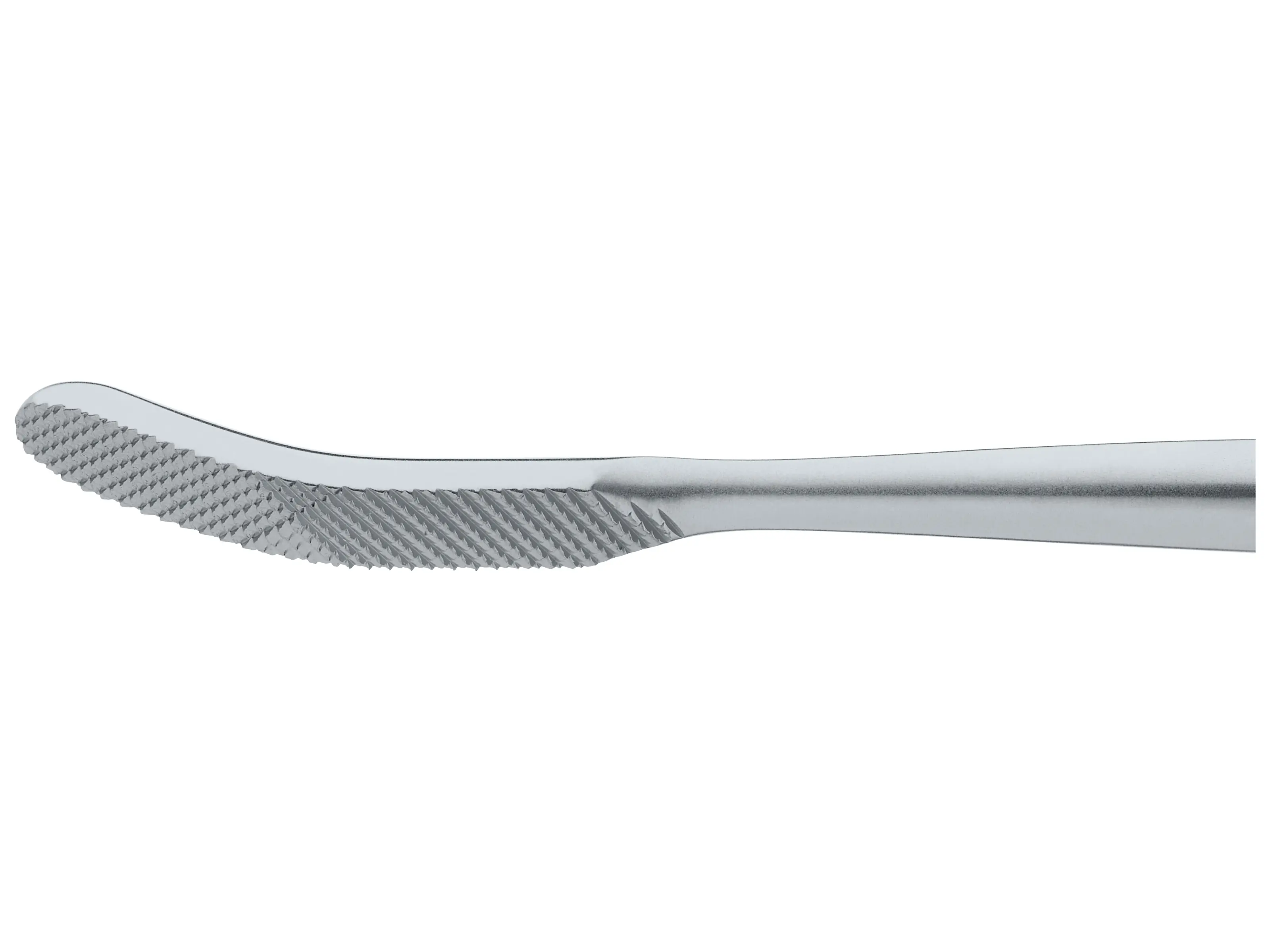Glabella Rasp, 20 cm | KARL STORZ Endoskope