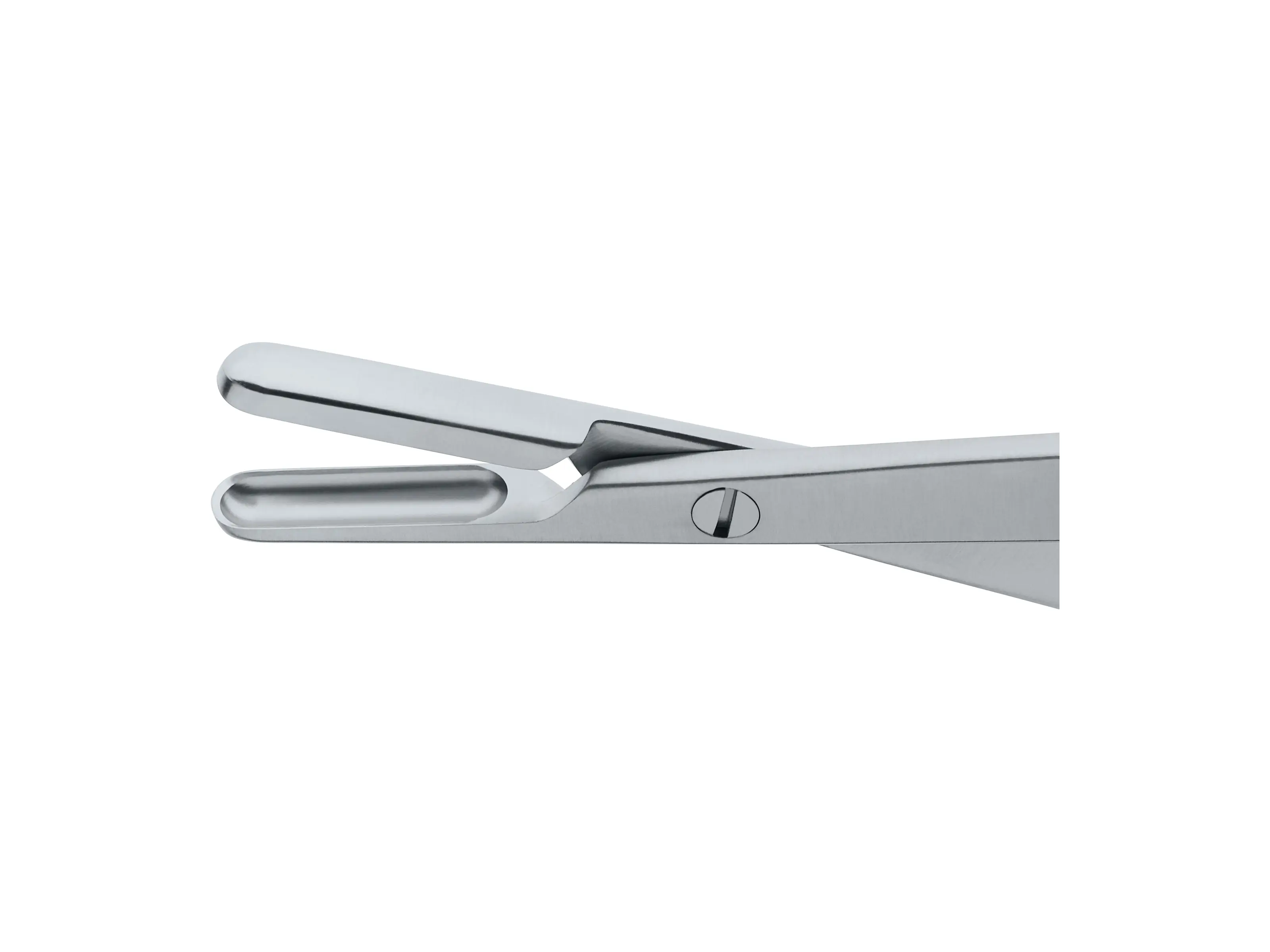 CRAIG Septum Forceps | KARL STORZ Endoskope