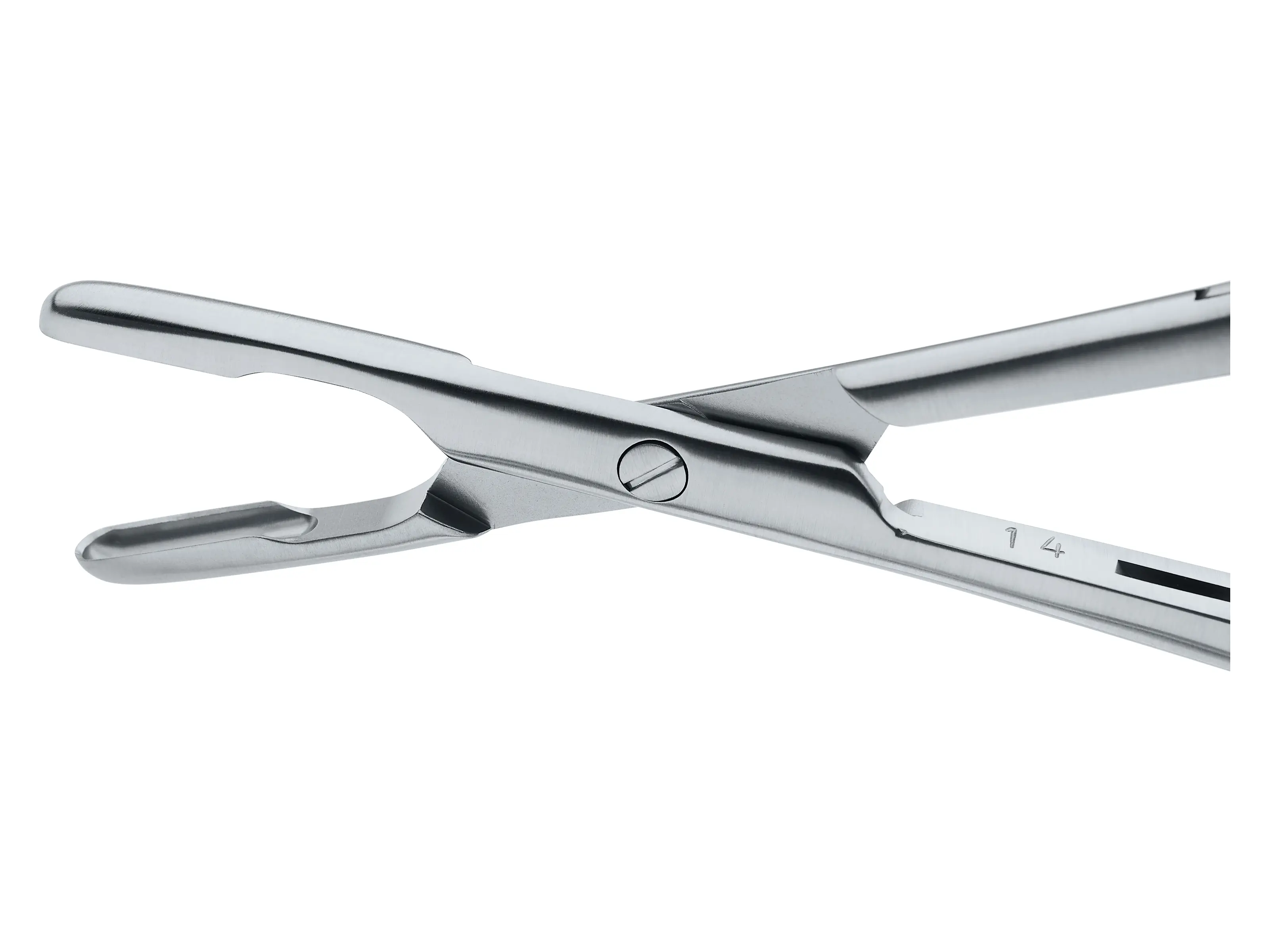 Septum Forceps, 9 cm | KARL STORZ Endoskope | Algeria