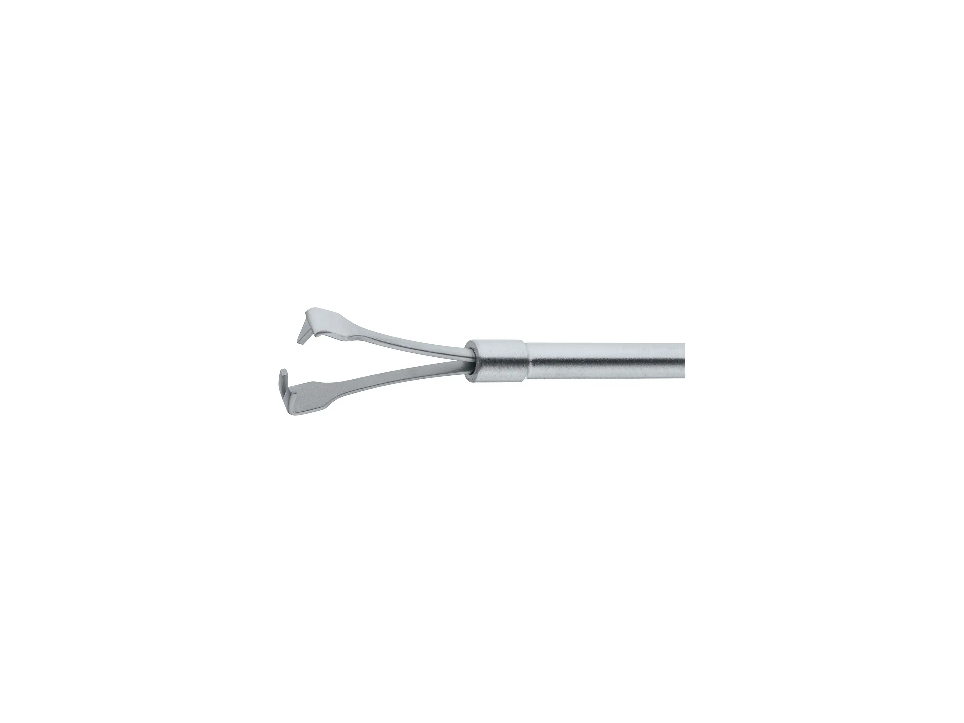 Sponge Holder, 35 cm | KARL STORZ Endoskope | Georgia