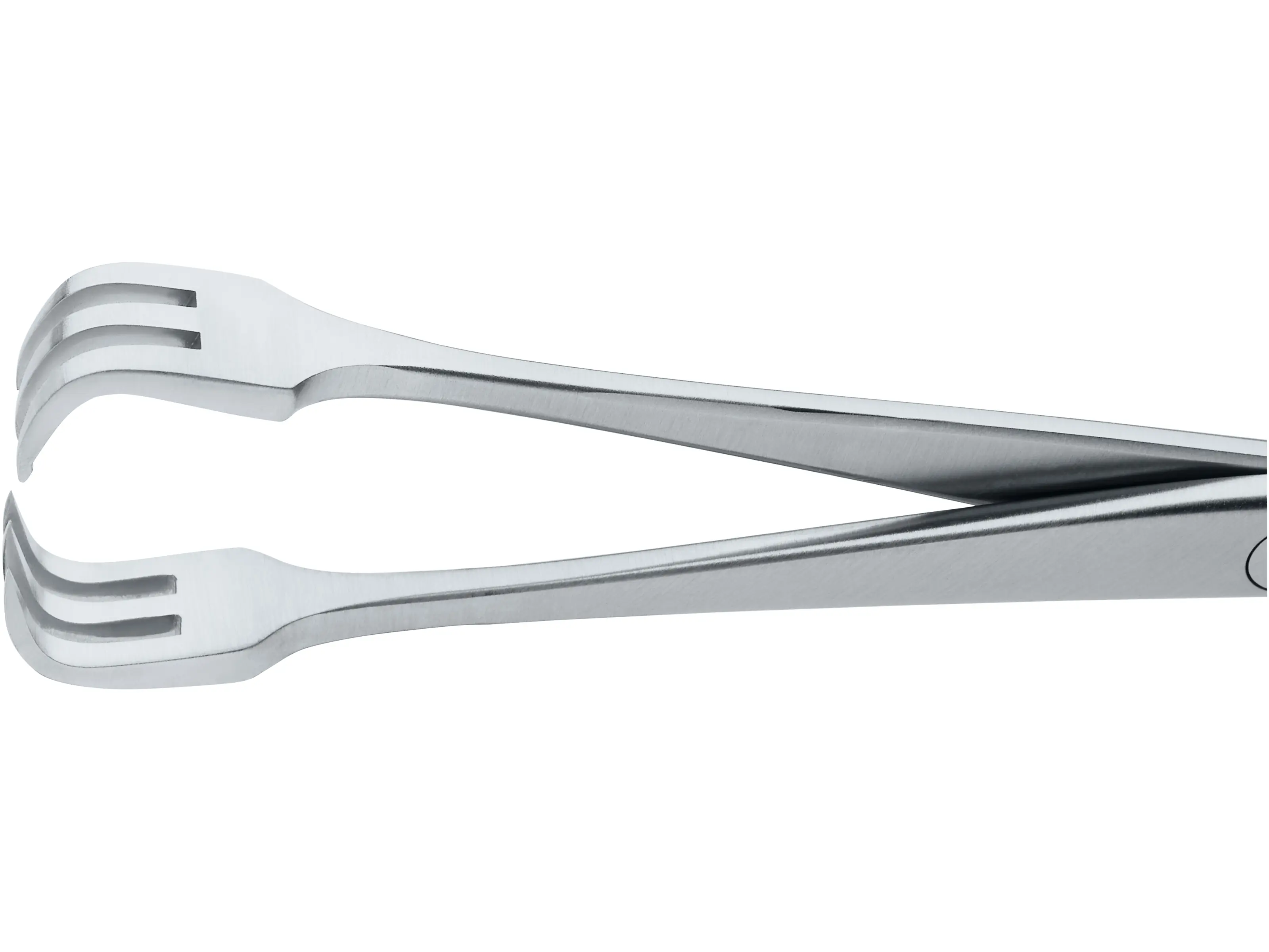TYDING Forceps, 11.5 cm | KARL STORZ Endoskope | Georgia