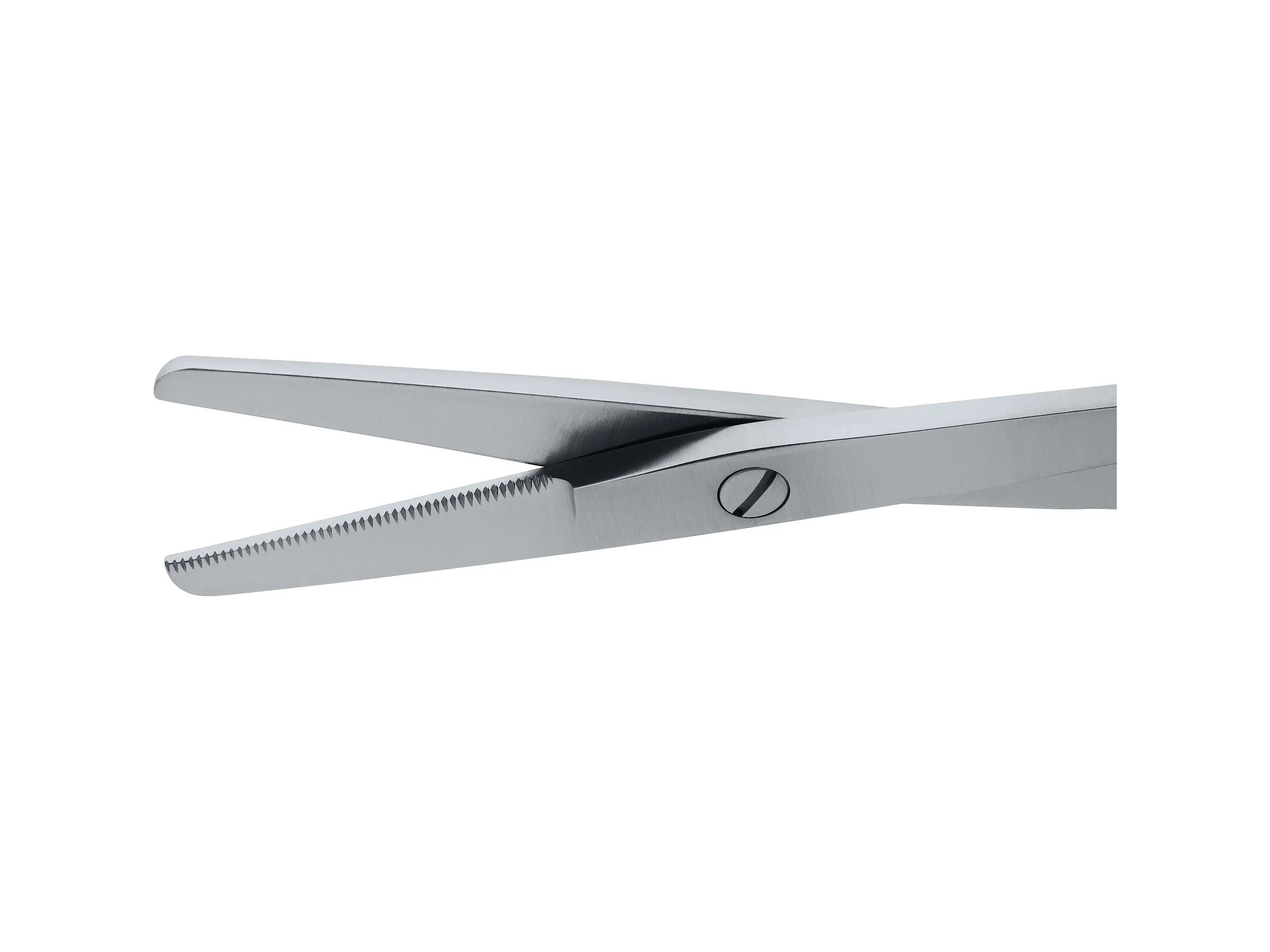 Septum Scissors, serrated, 9.5 cm | KARL STORZ Endoskope | Island