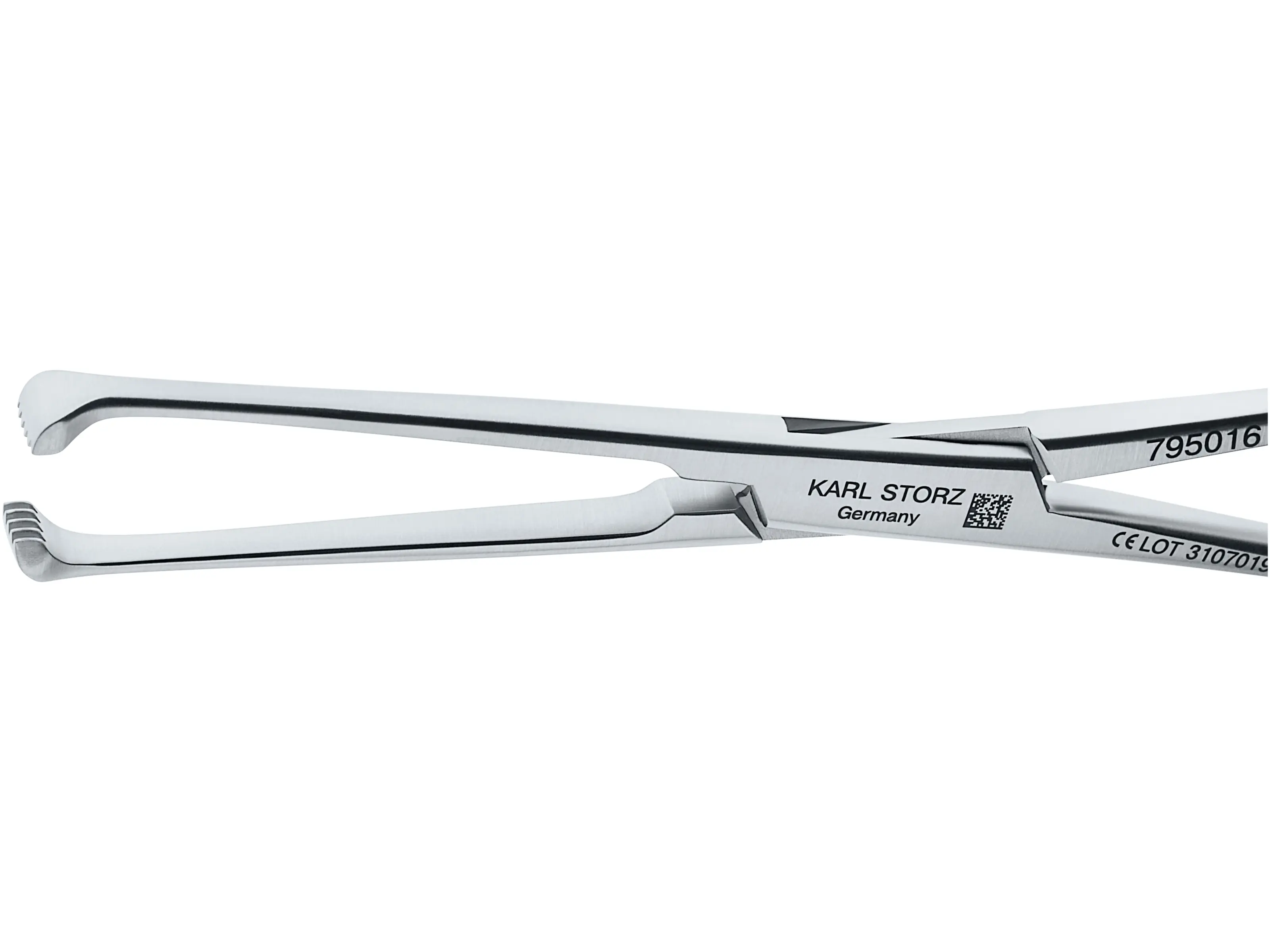 ALLIS Forceps, 5 x 6 teeth, 16 cm | KARL STORZ Endoskope | Island