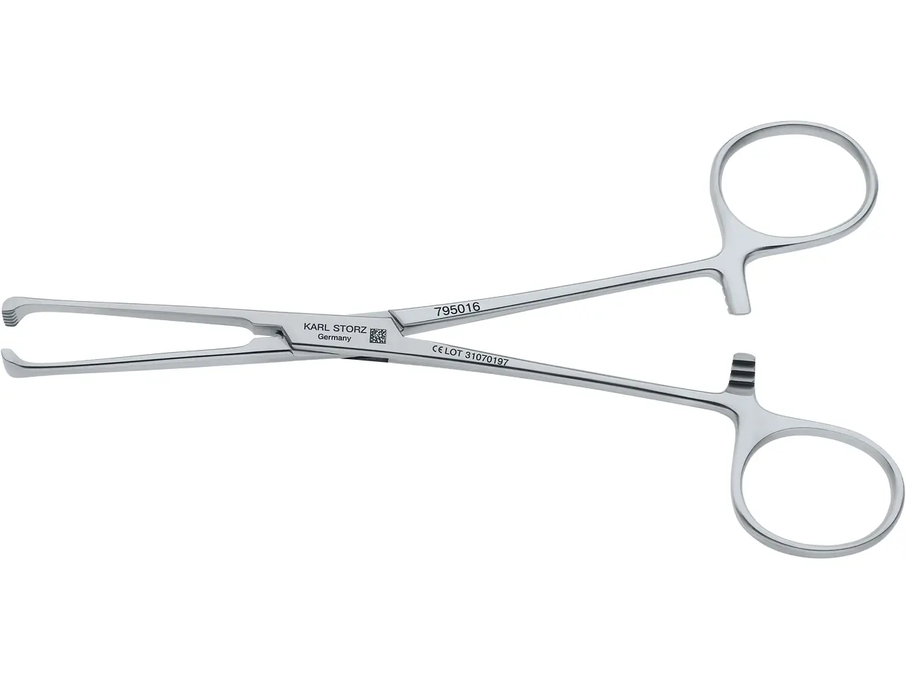 ALLIS Forceps, 5 x 6 teeth, 16 cm | KARL STORZ Endoskope | Island