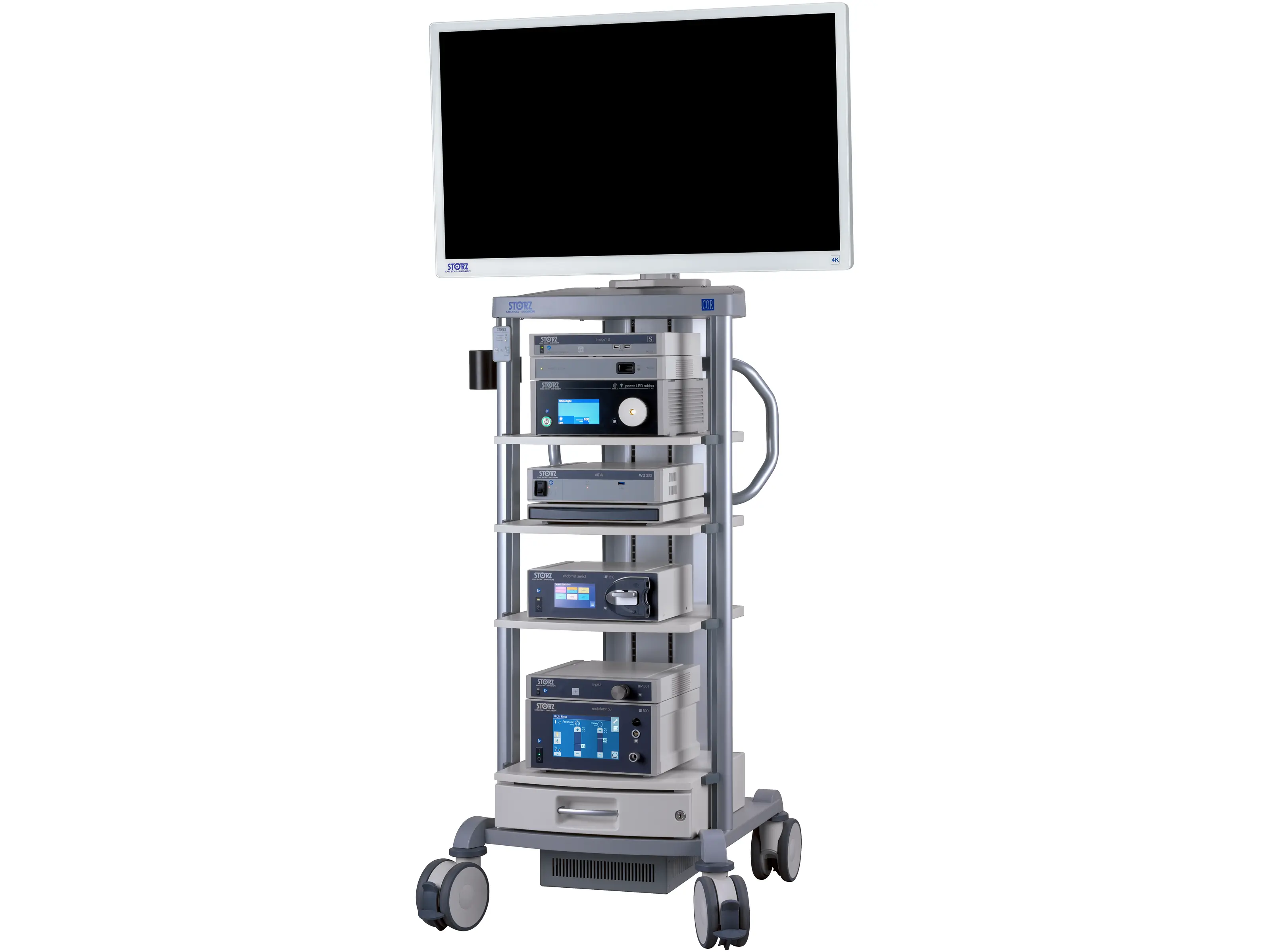 43″ 4K Monitor | KARL STORZ Endoskope | 日本