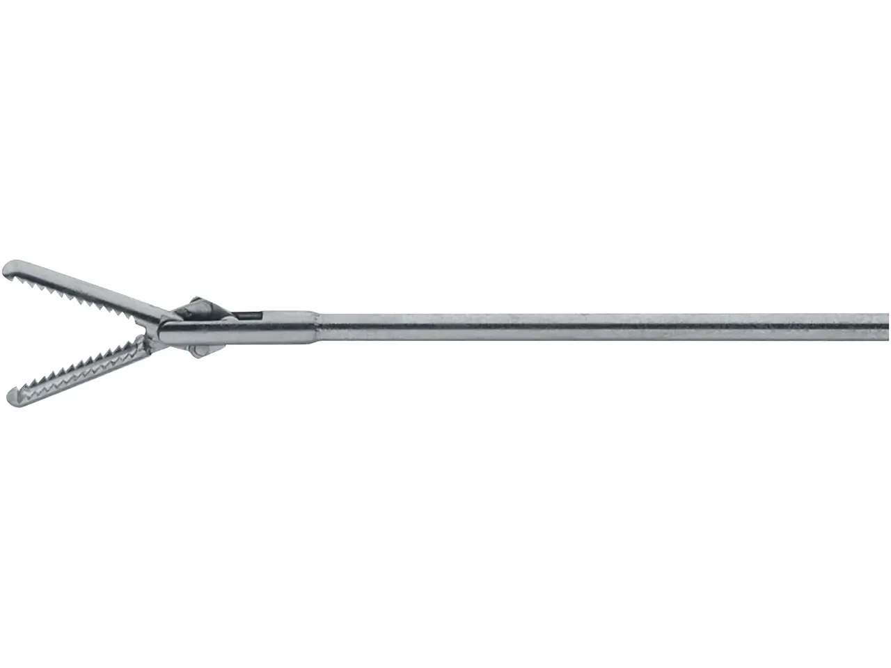Forceps, 4 Fr., 60 cm | KARL STORZ Endoskope | 日本