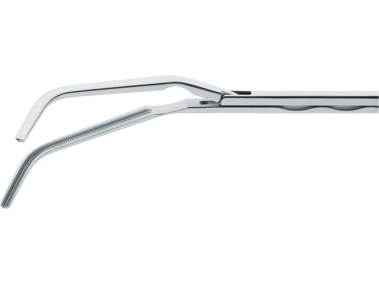 Sa!nt×N!ght×Tr!ck フェネル LSR 2枚 Dissecting Forceps, 28 cm | KARL STORZ Endoskope | 日本