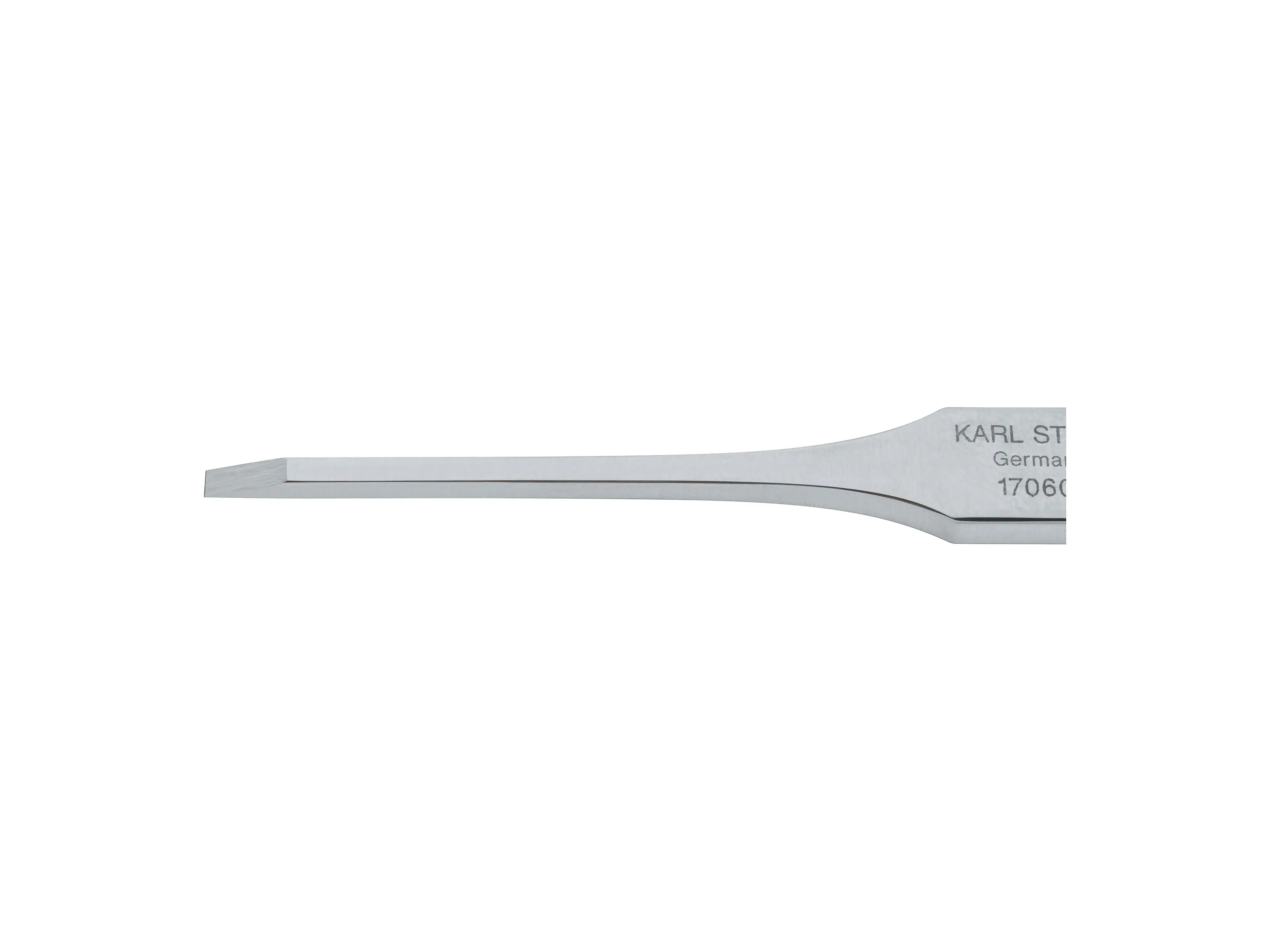 TRAUTMANN Mastoid Chisel,2mm wide | KARL STORZ Endoskope | Korea