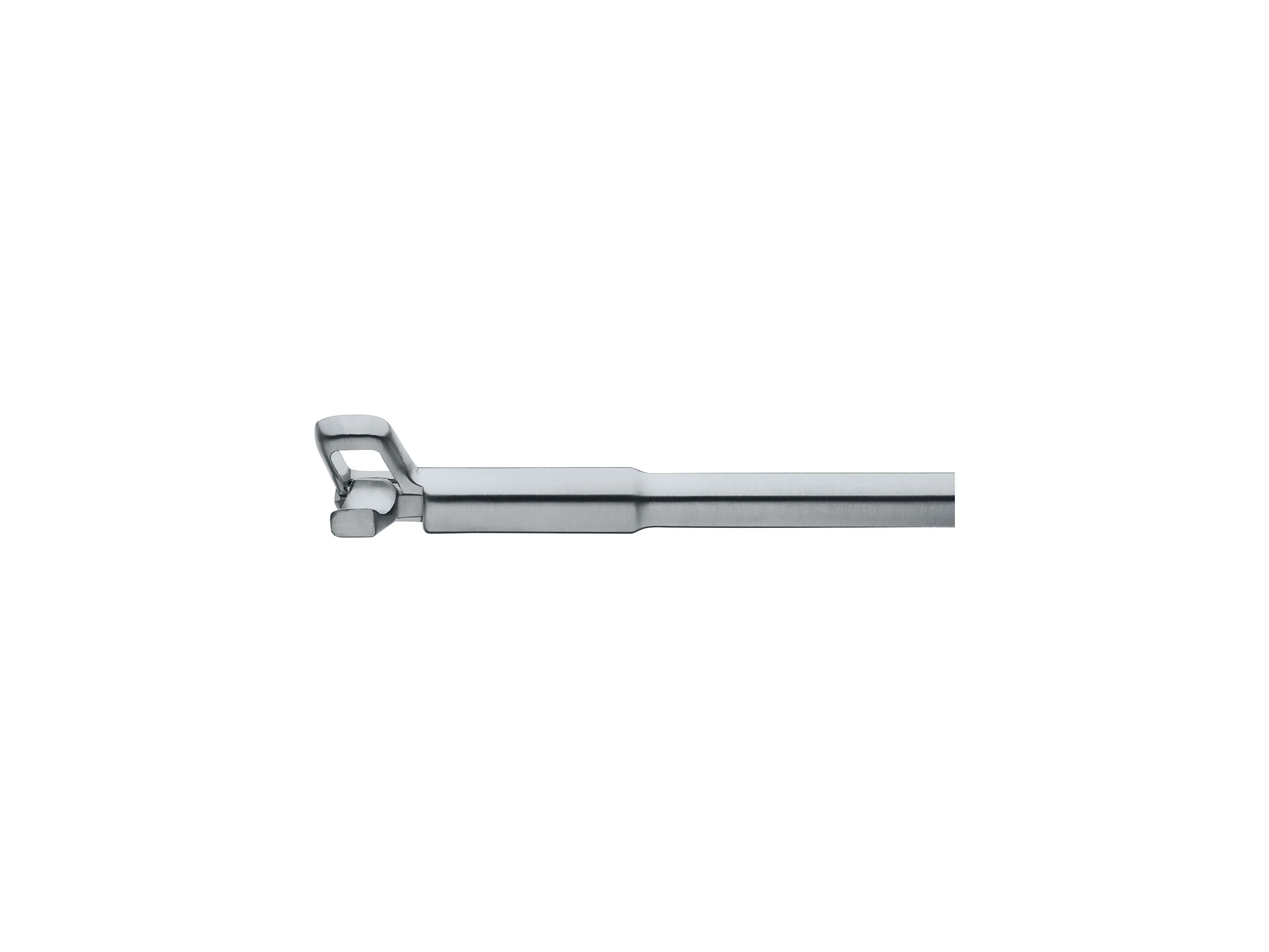 Antrum Punch, right down | KARL STORZ Endoskope | Luxembourg
