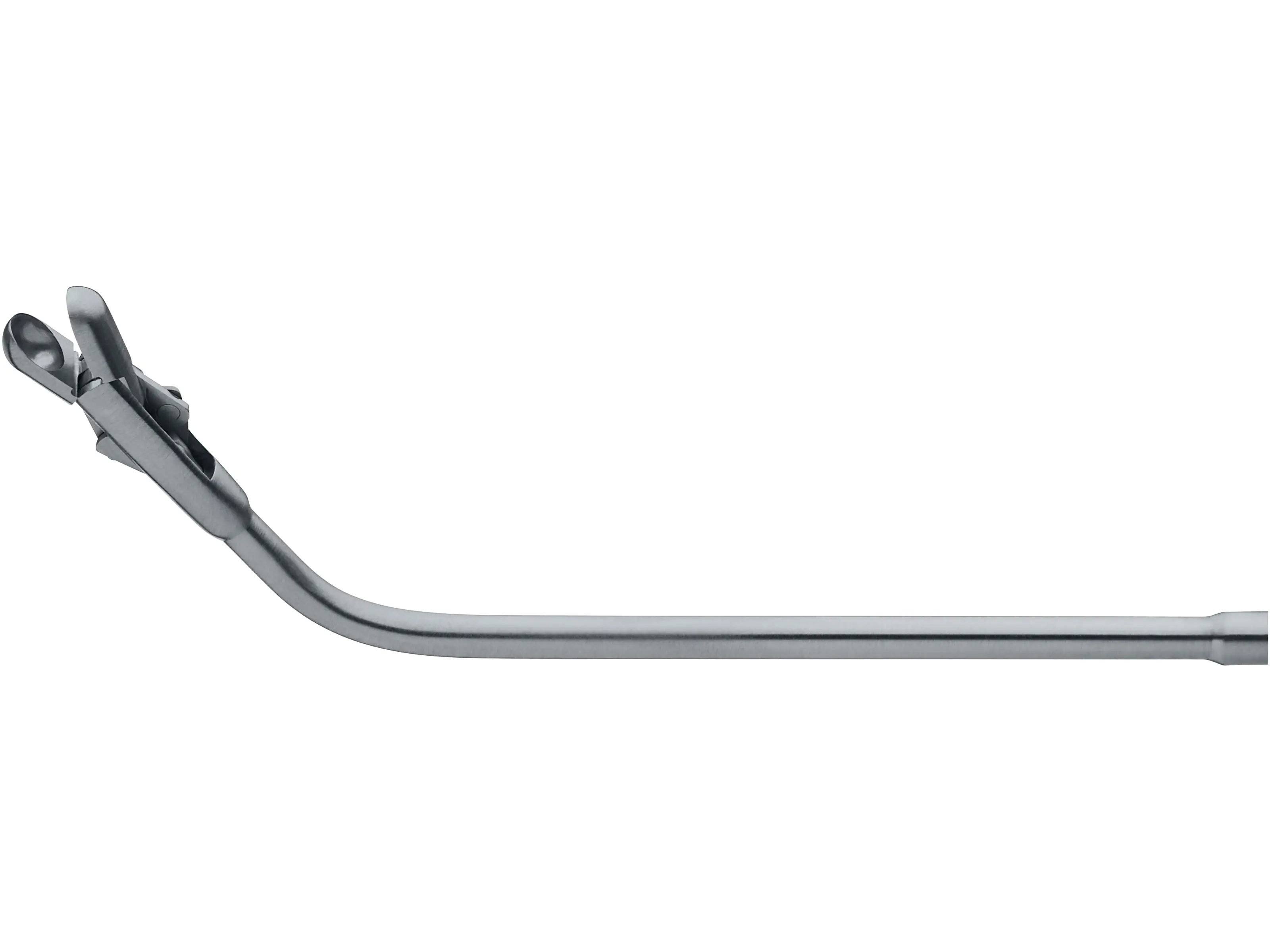 Double Spoon Giraffe Forceps, 55° | KARL STORZ Endoskope | Mongolia