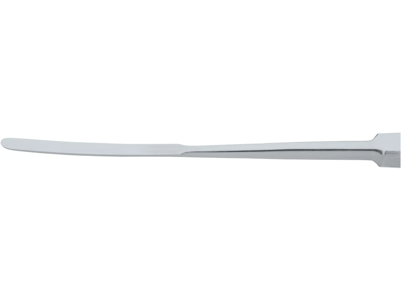 LEMPERT Raspatory, 3 mm, 19 cm | KARL STORZ Endoskope | United States