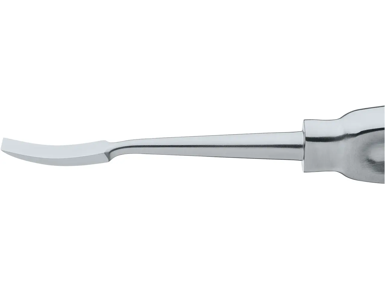 LEMPERT Raspatory, 7 mm, 18 cm | KARL STORZ Endoskope | United States