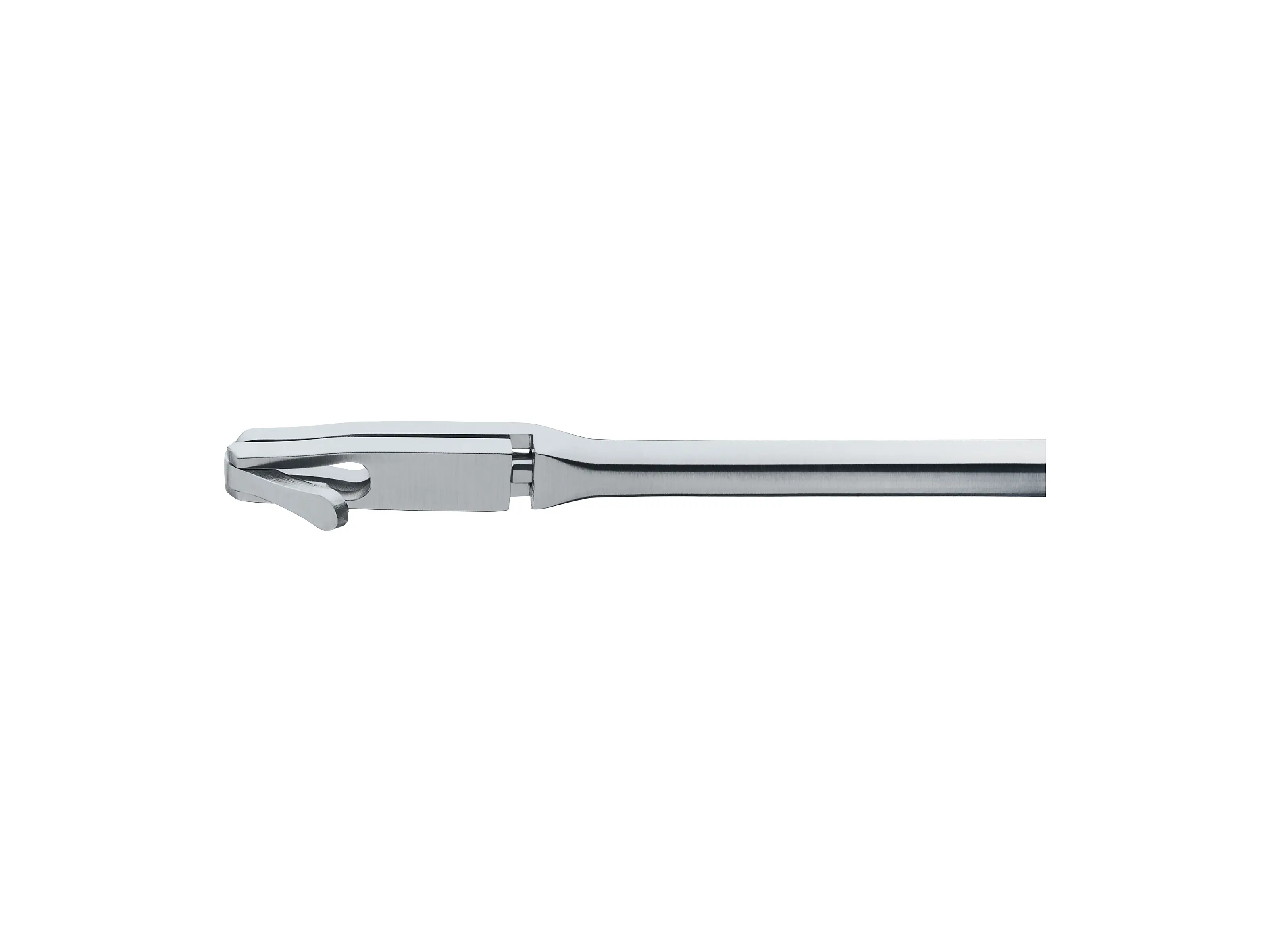 PARSONS Punch, diameter 2.5 mm | KARL STORZ Endoskope | United States