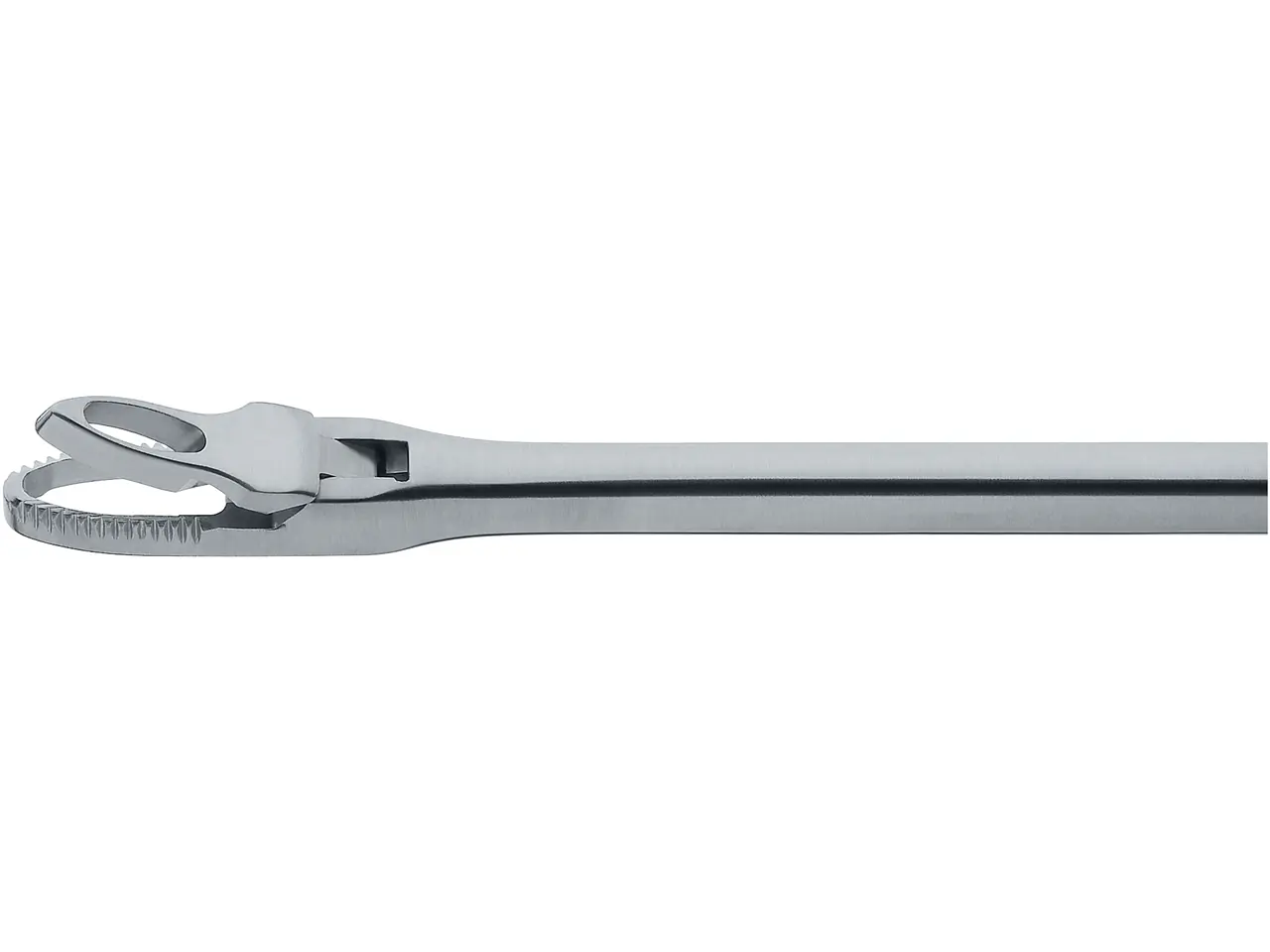 Forceps, through-cutting, size 2, 13 cm | KARL STORZ Endoskope