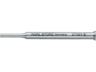 標本 RDC Mesotopus karlwernei 81mm RDC Mesotopus karlwernei 81mm 【公式通販】