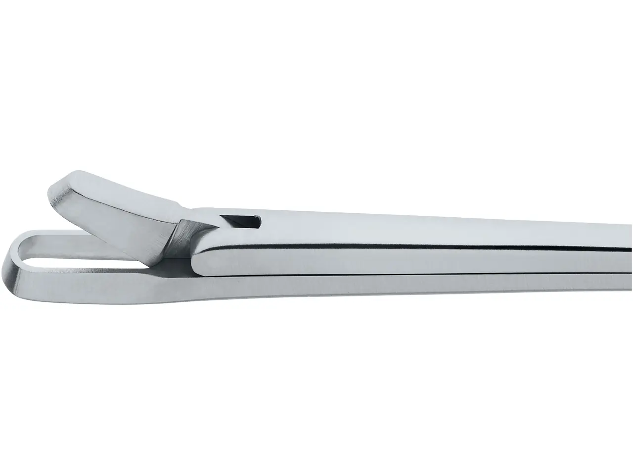 Nasal Cutting Forceps, size 1 | KARL STORZ Endoskope | United States