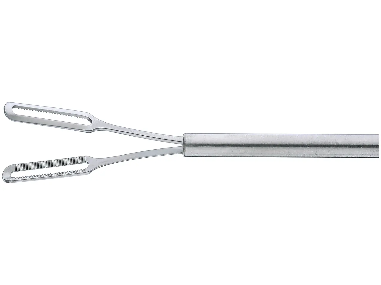 Forceps | KARL STORZ Endoskope | United States