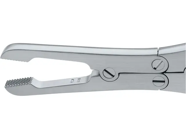 テルスガイザー TELLUSGIZER | 株式会社EAUZAURA