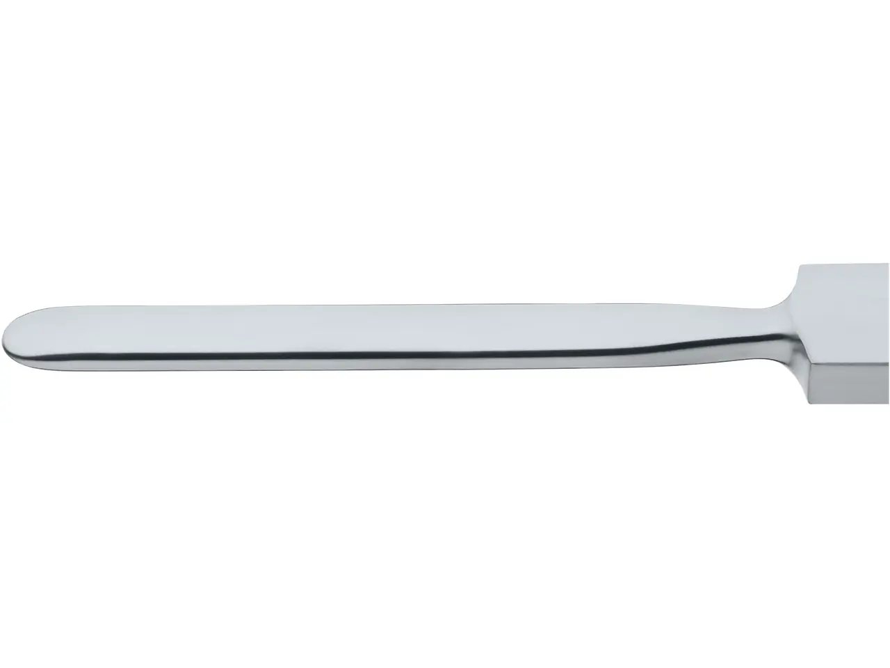 ヨウスケ Elevator, 17 cm | KARL STORZ Endoskope | United States